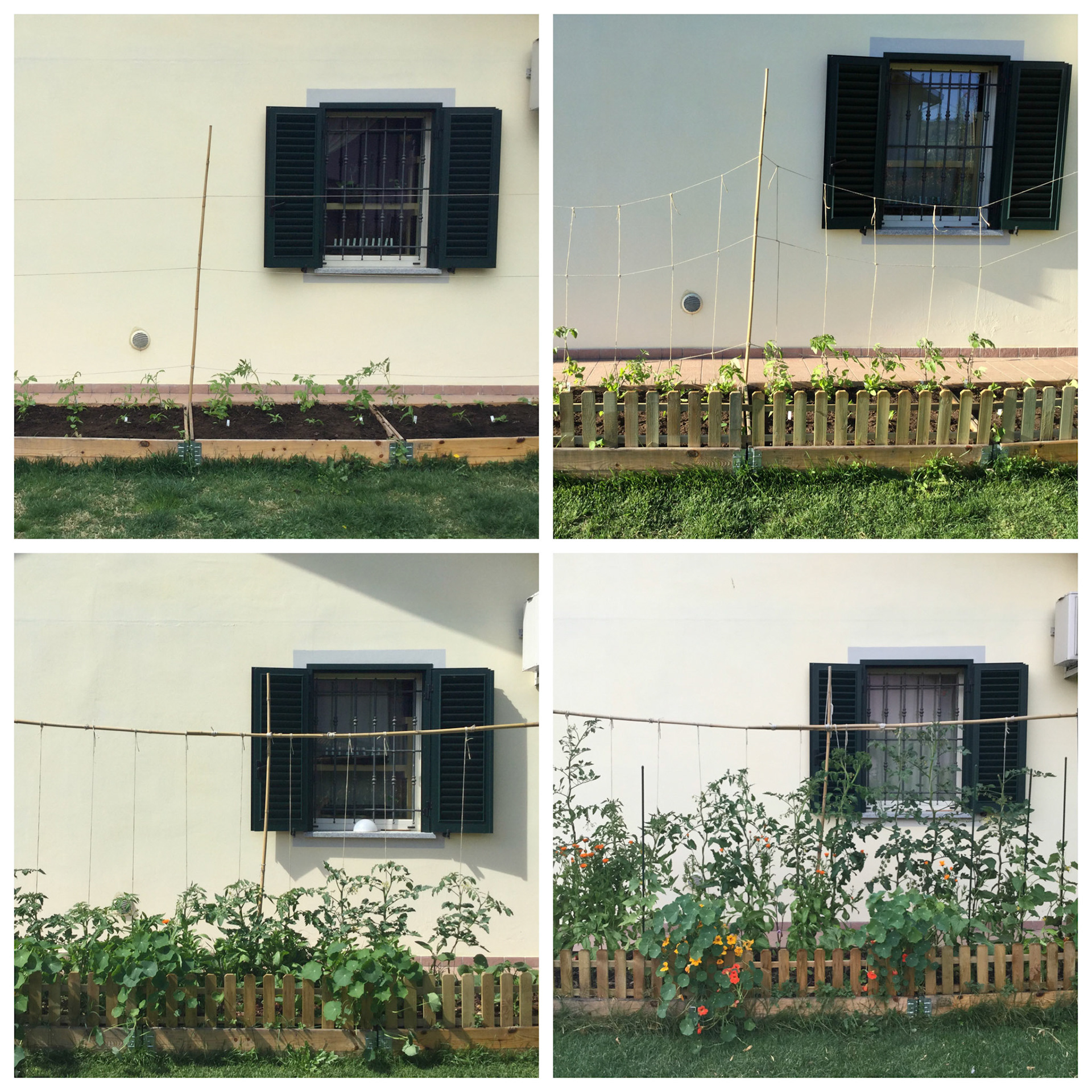 Processed with MOLDIV