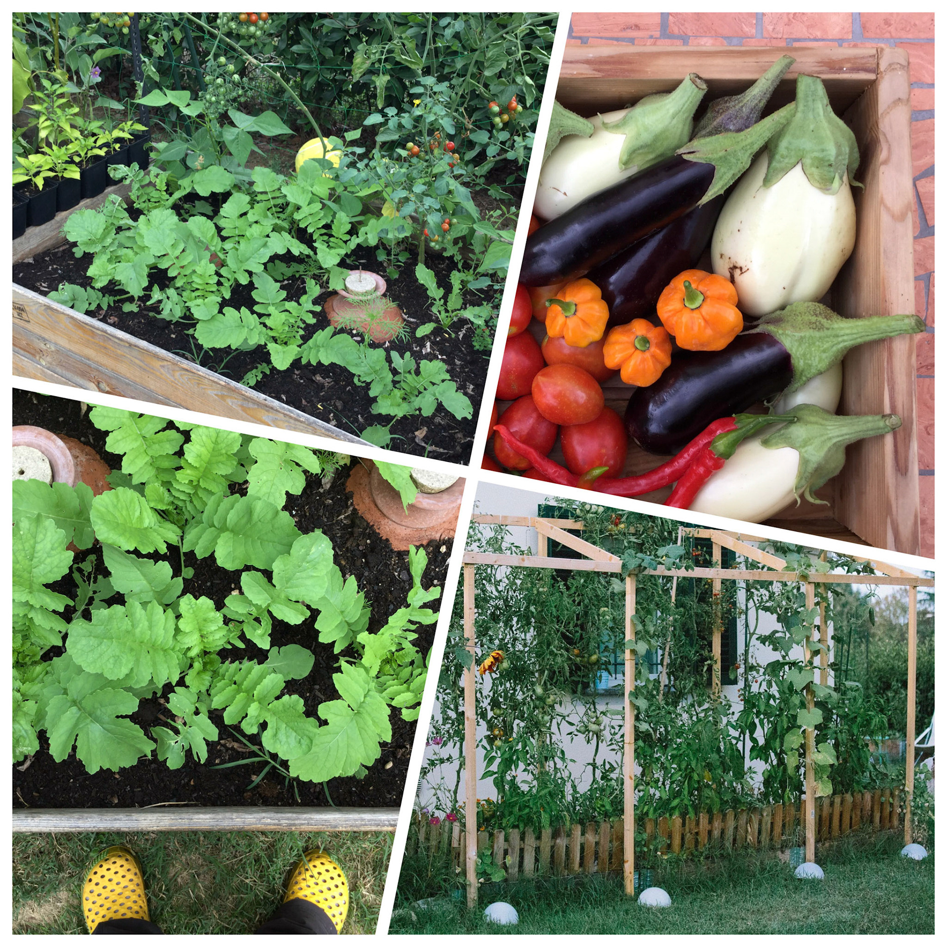 Processed with MOLDIV