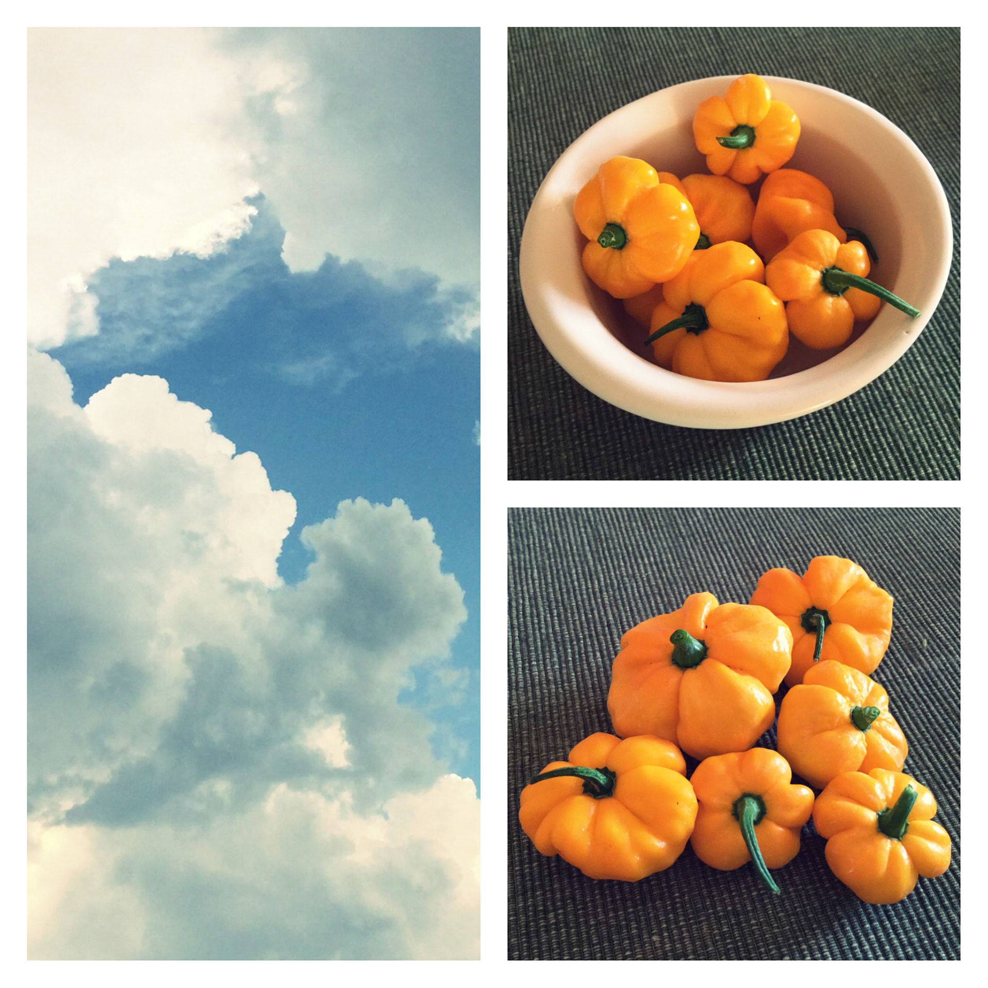 Processed with Moldiv