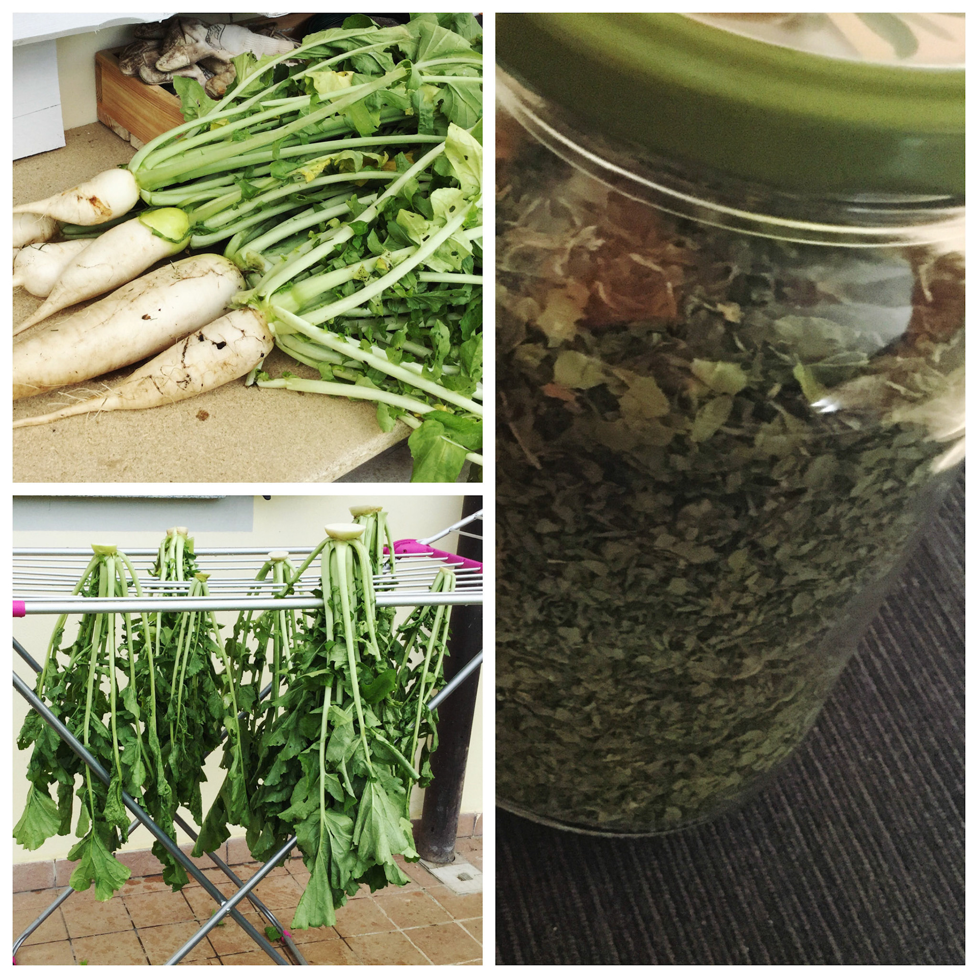 Processed with MOLDIV