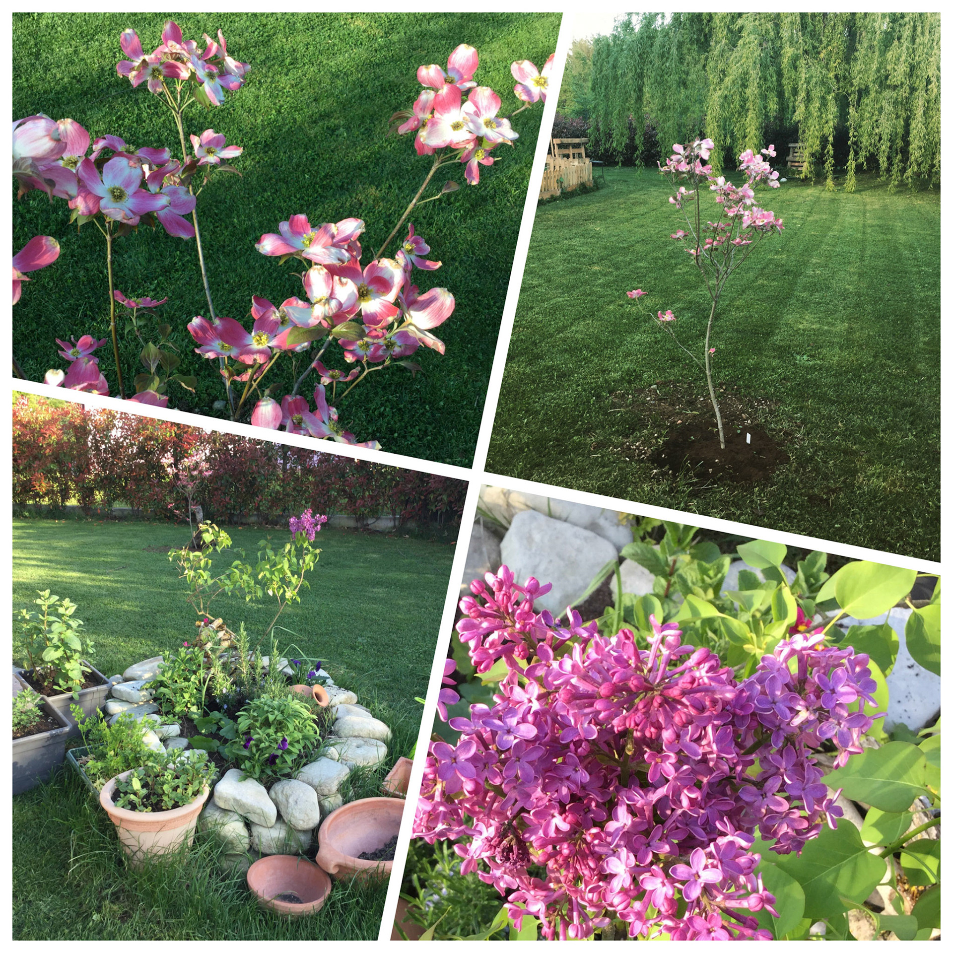 Processed with MOLDIV