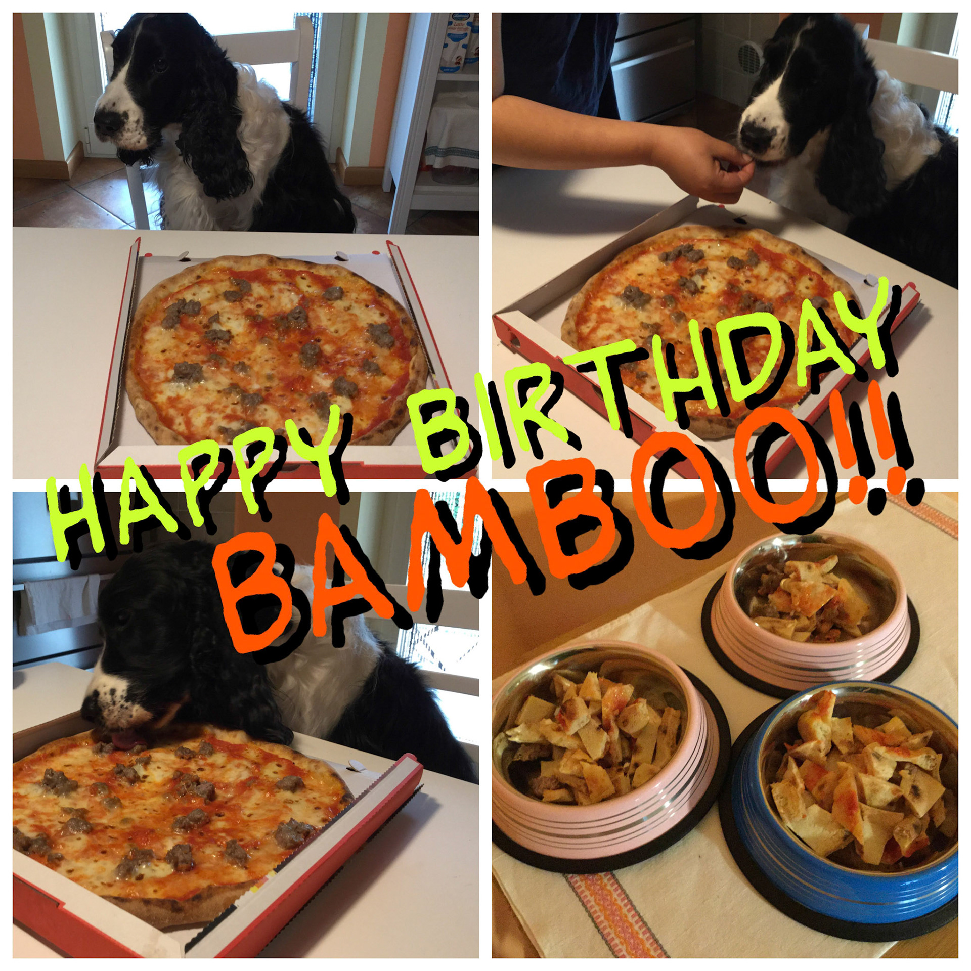 Processed with Moldiv