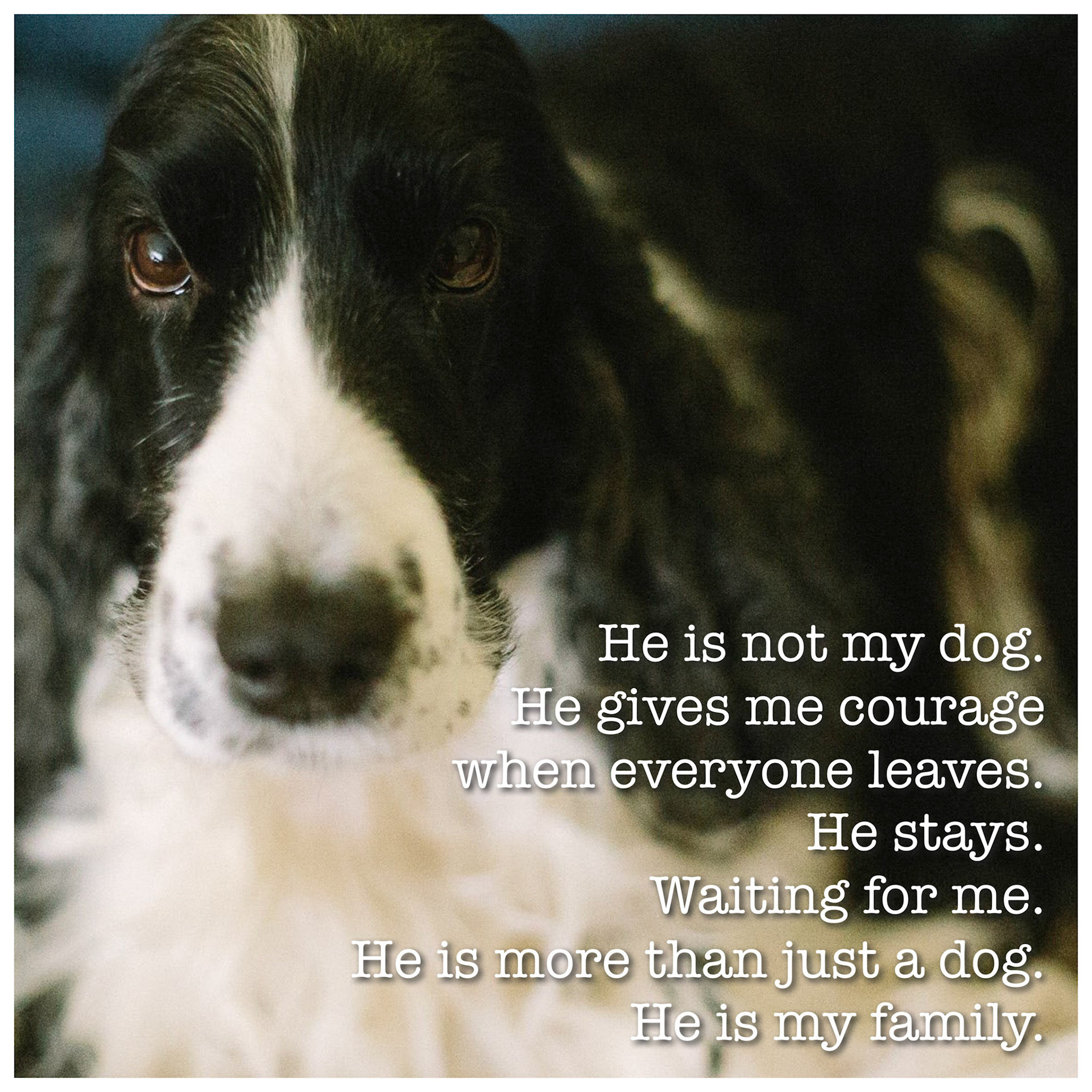 Processed with MOLDIV