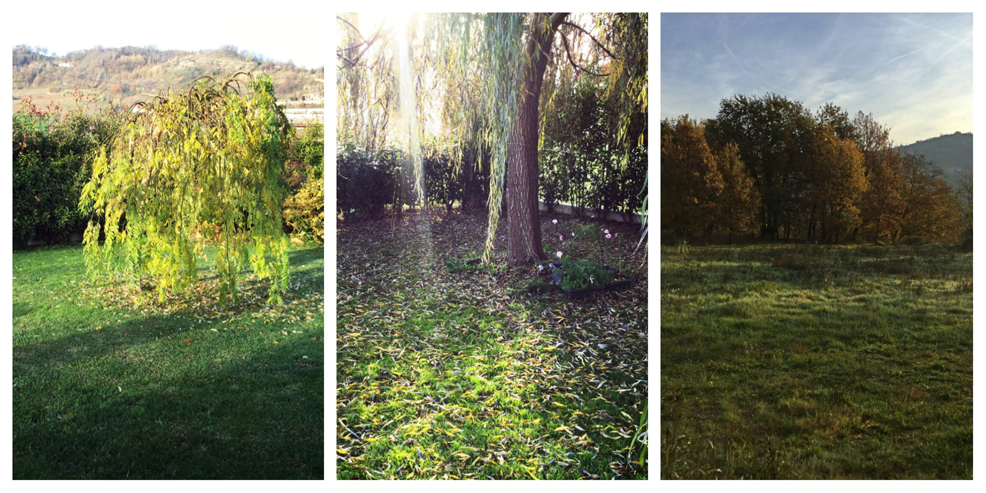 Processed with Moldiv