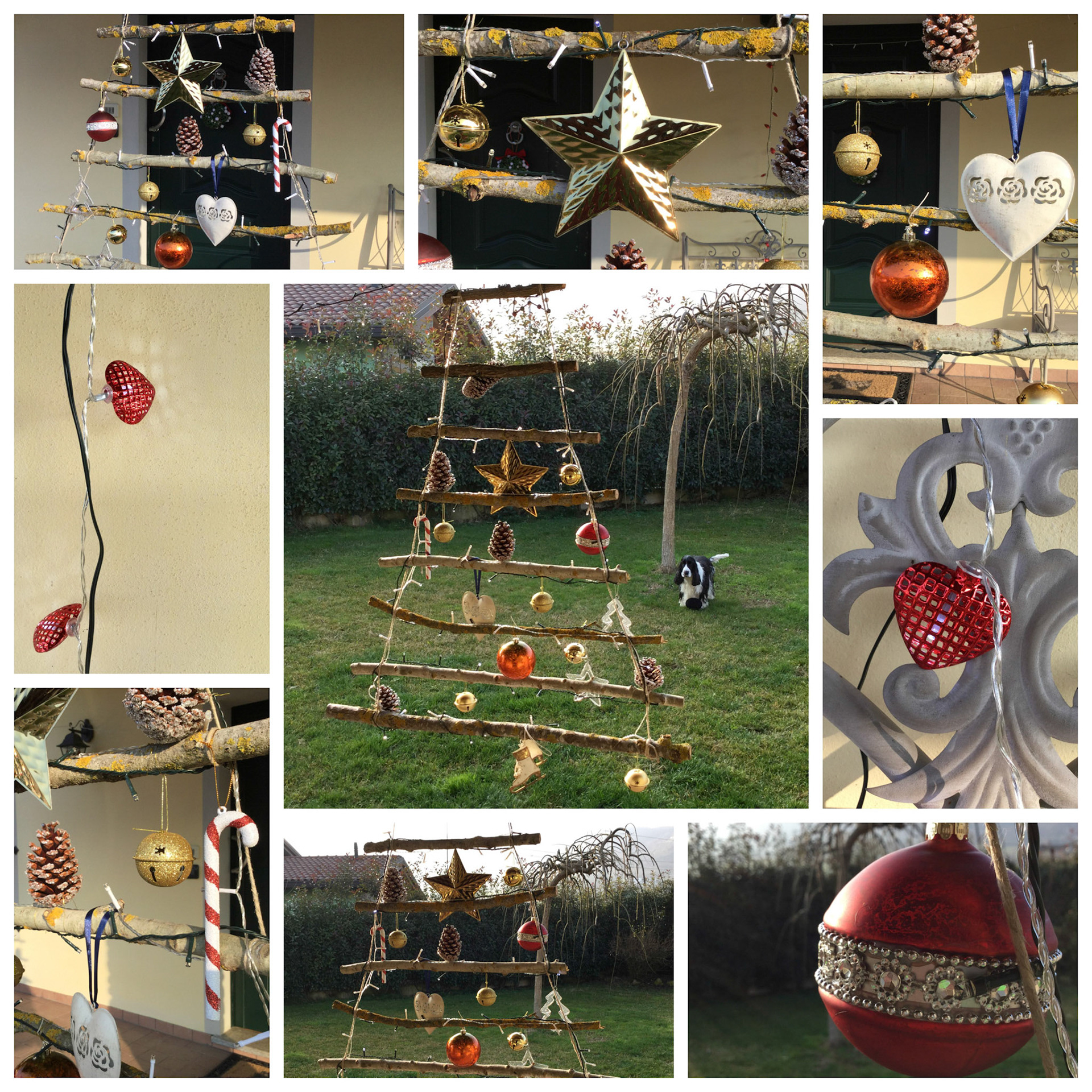 Processed with MOLDIV