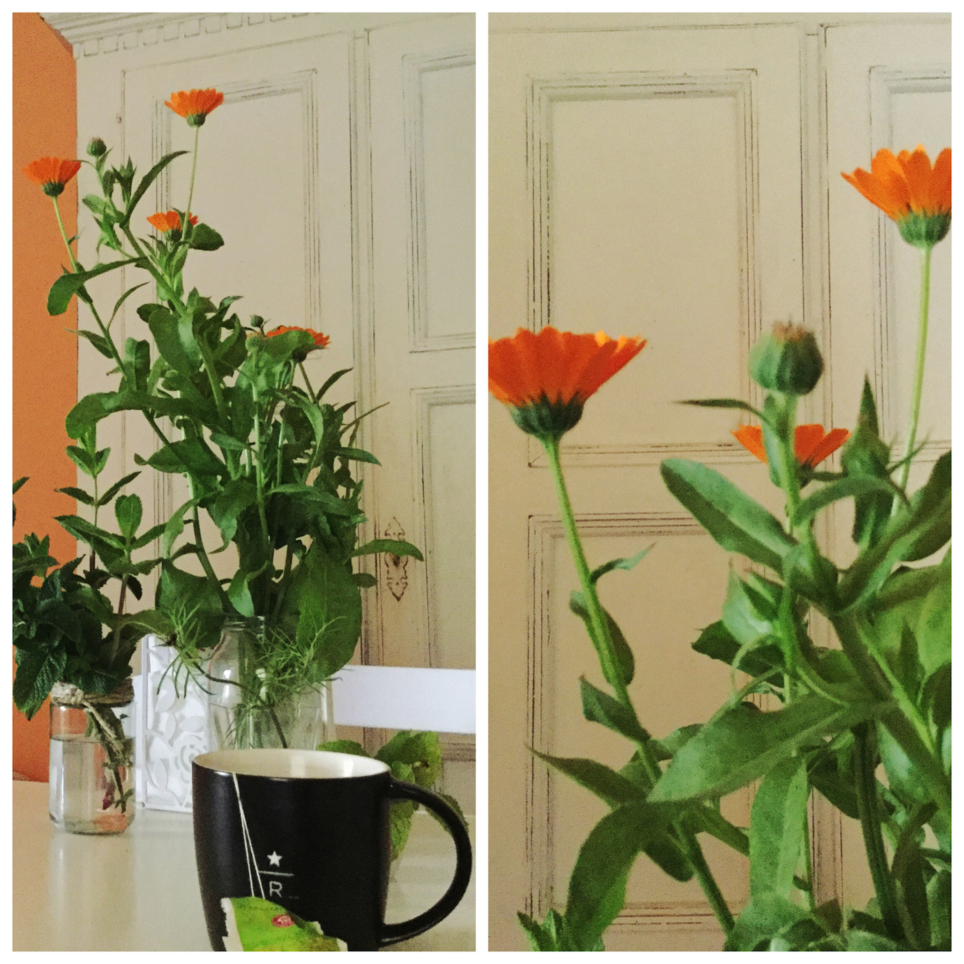 Processed with MOLDIV