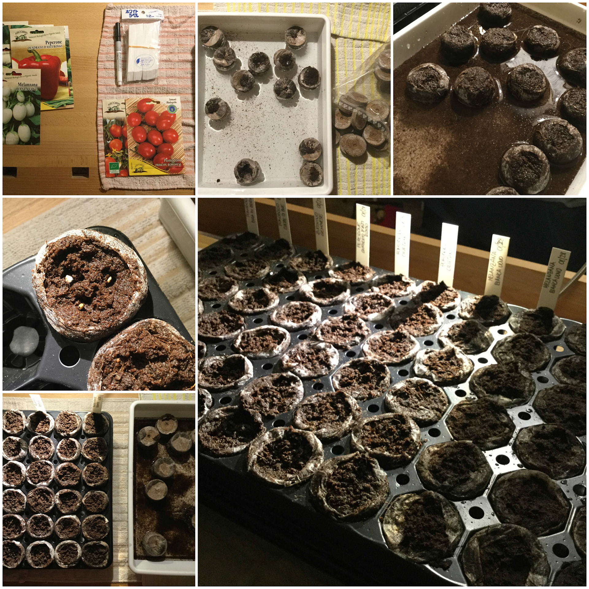 Processed with MOLDIV