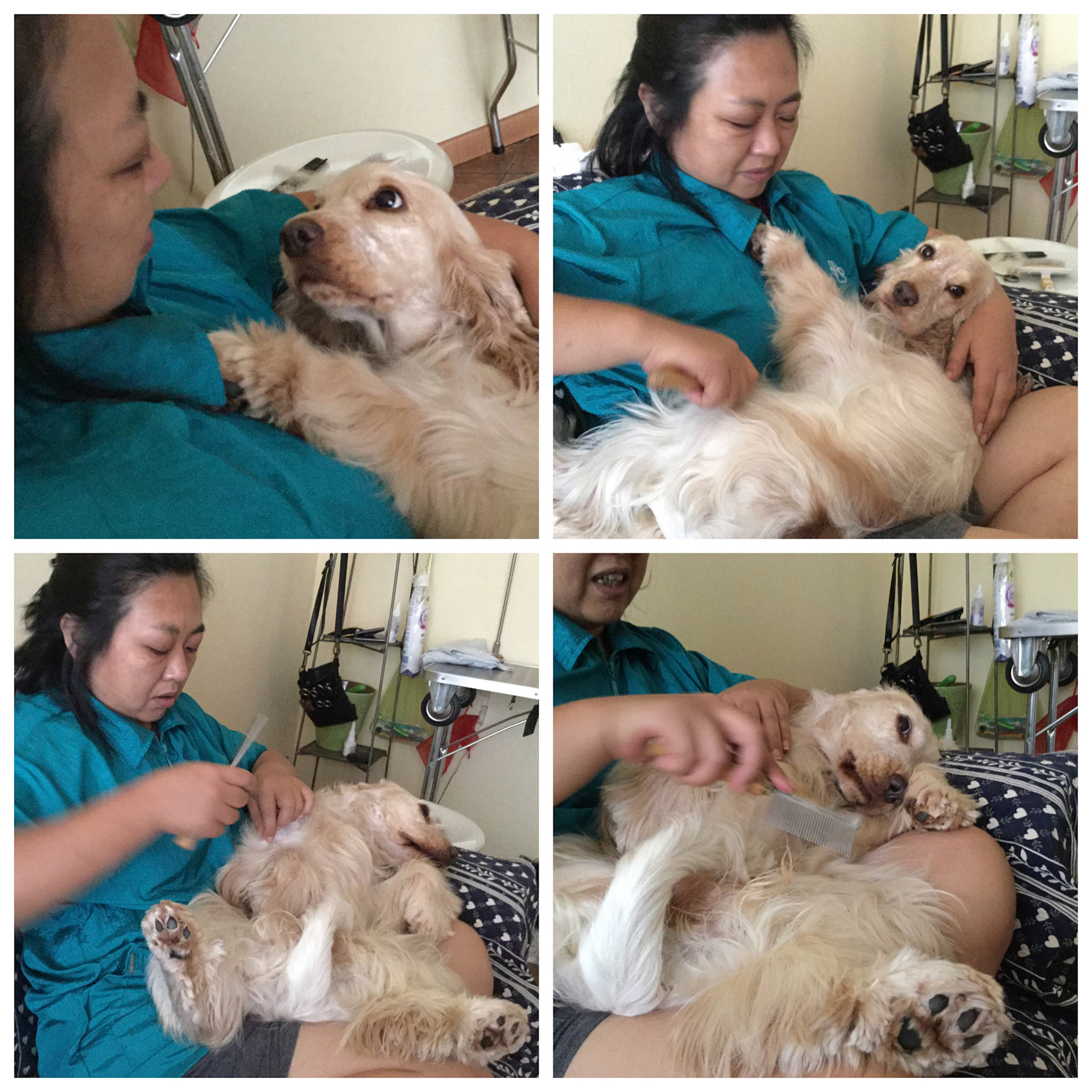 Processed with Moldiv