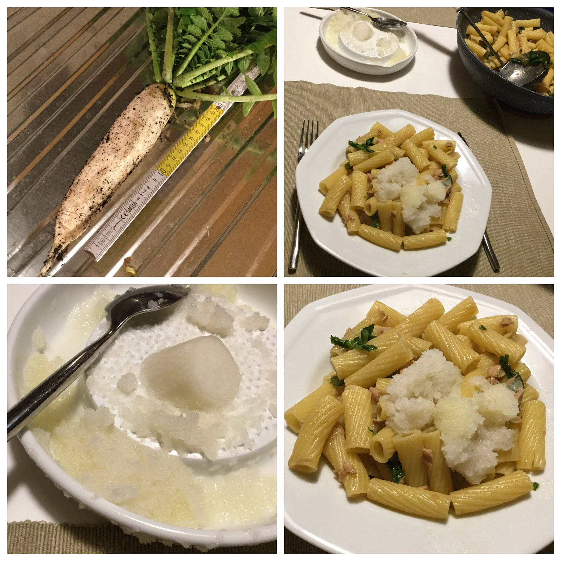 Processed with MOLDIV