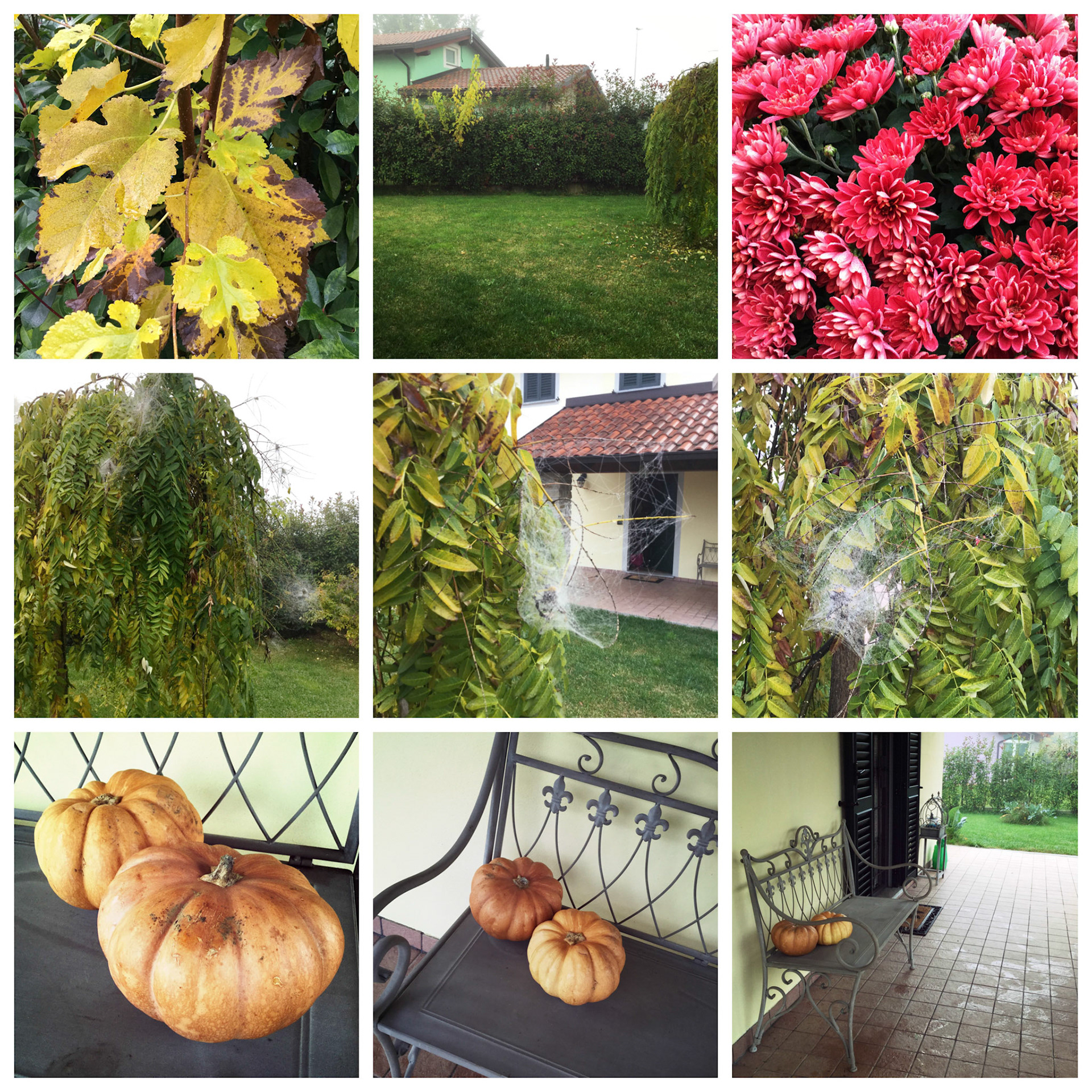 Processed with Moldiv