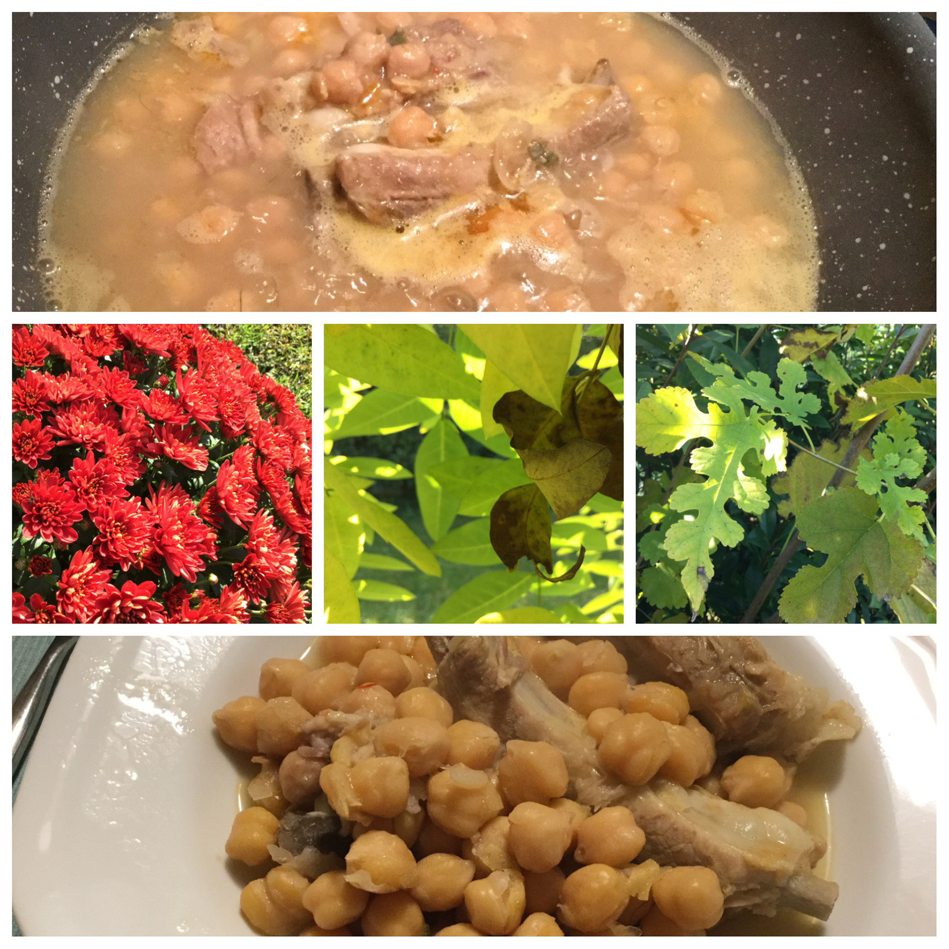 Processed with Moldiv