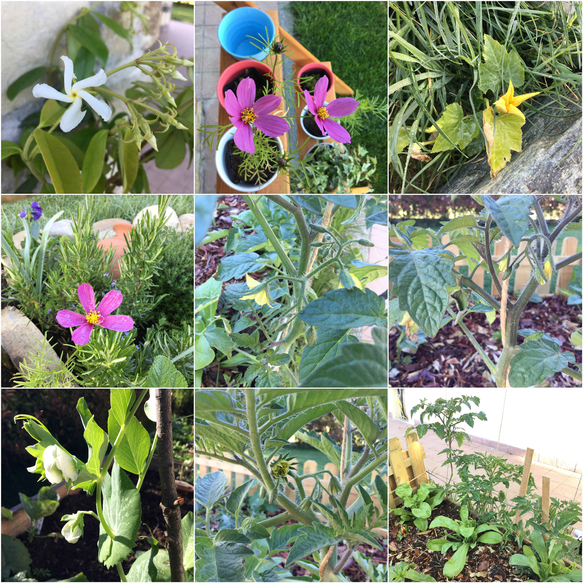 Processed with MOLDIV