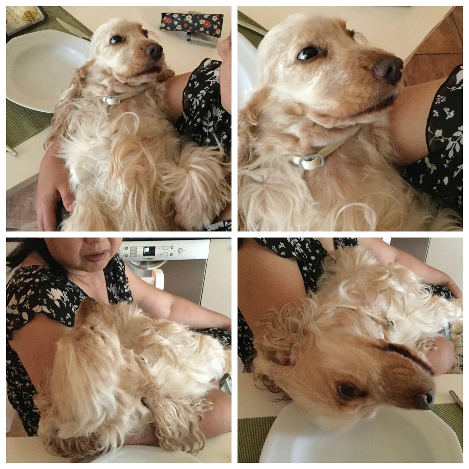 Processed with MOLDIV