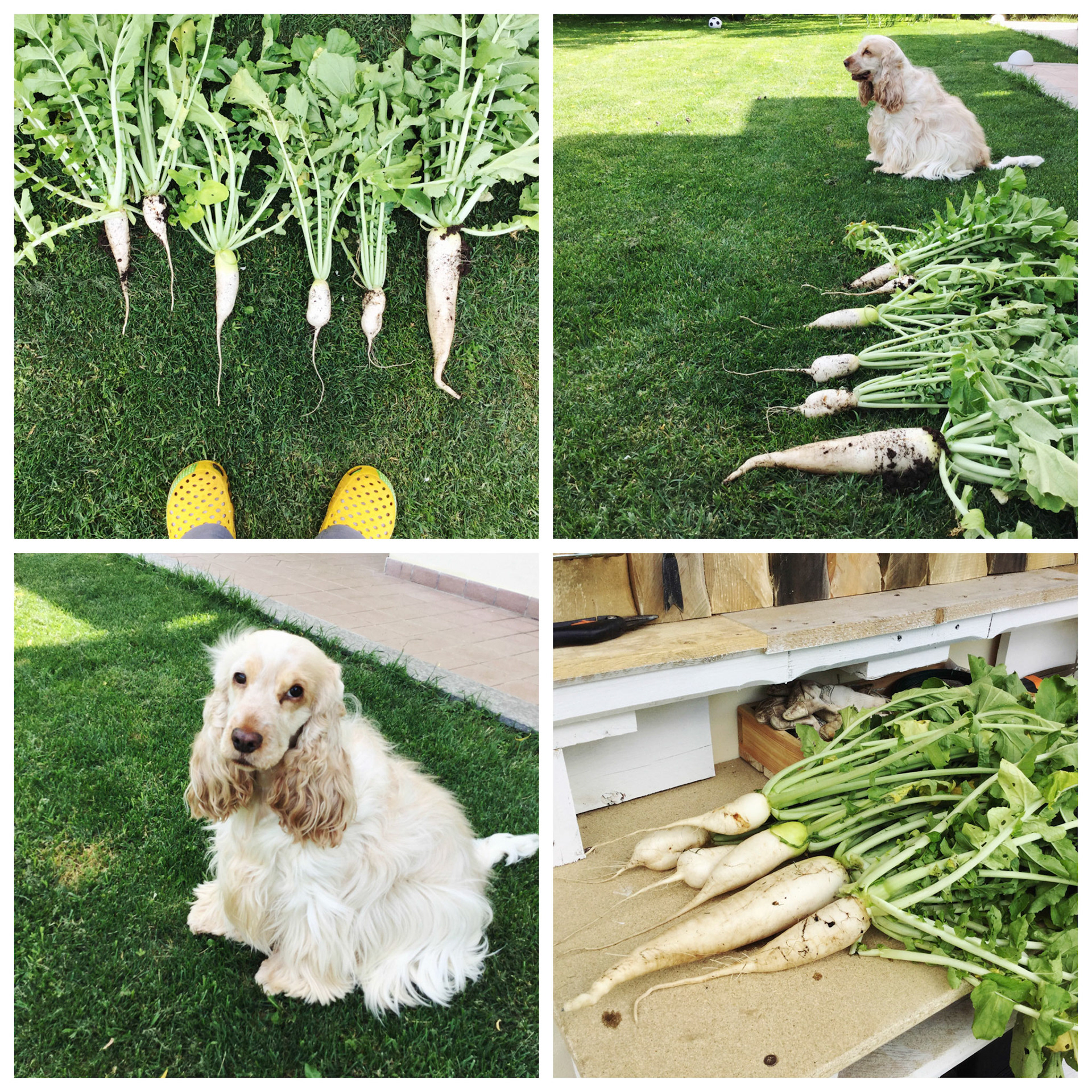 Processed with MOLDIV