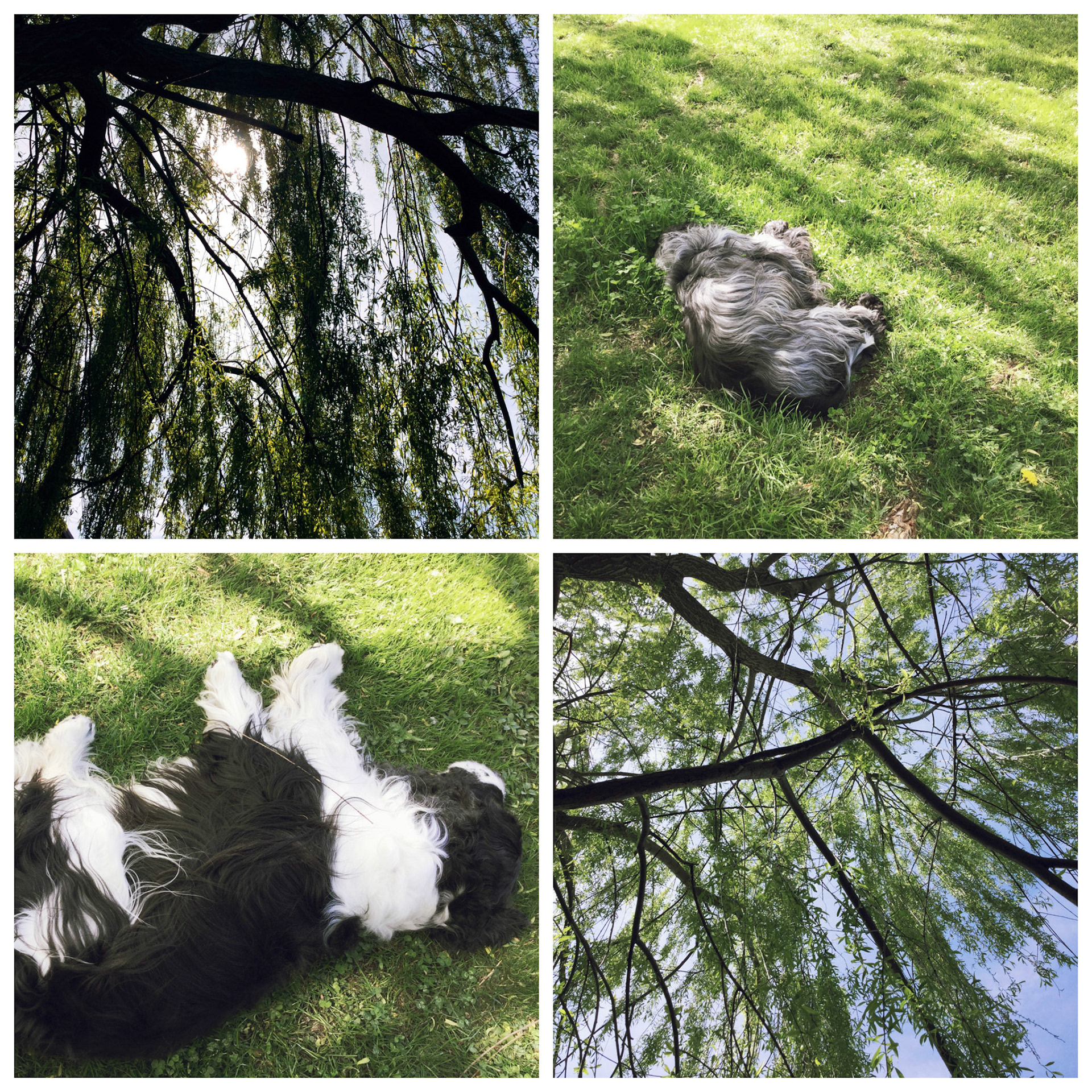 Processed with MOLDIV