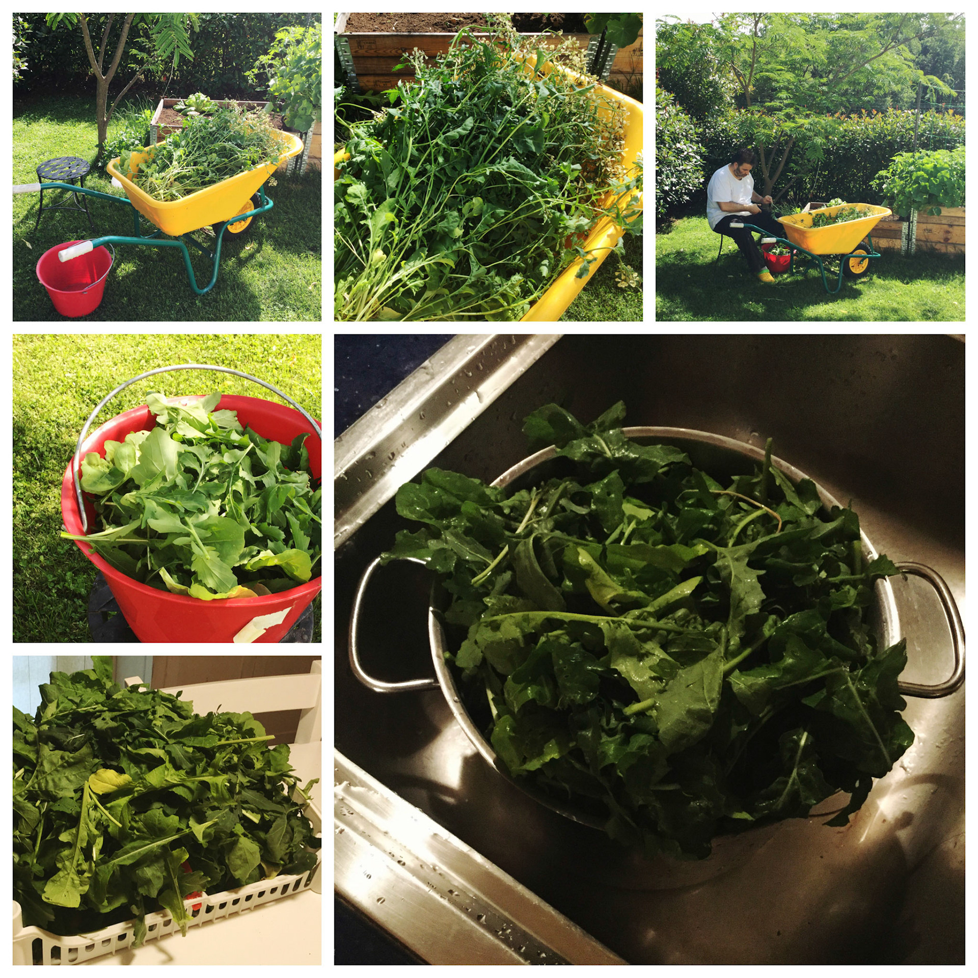 Processed with MOLDIV