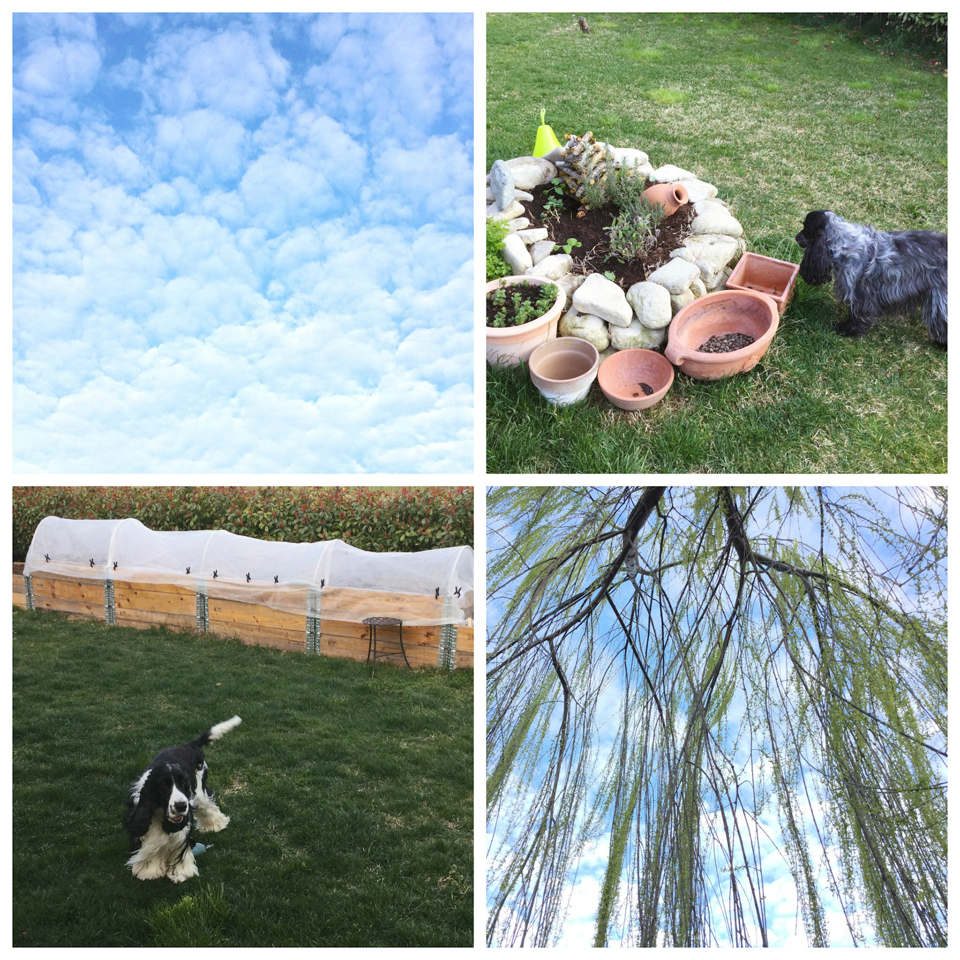 Processed with MOLDIV