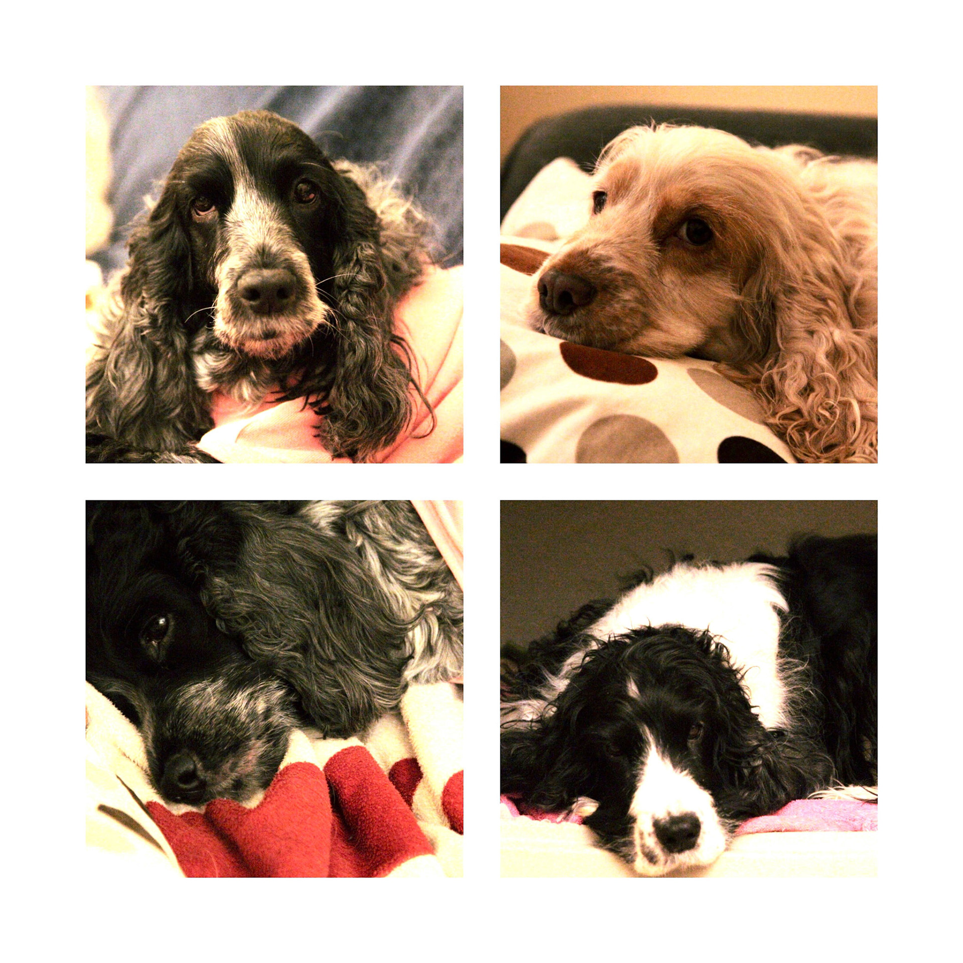 Processed with MOLDIV