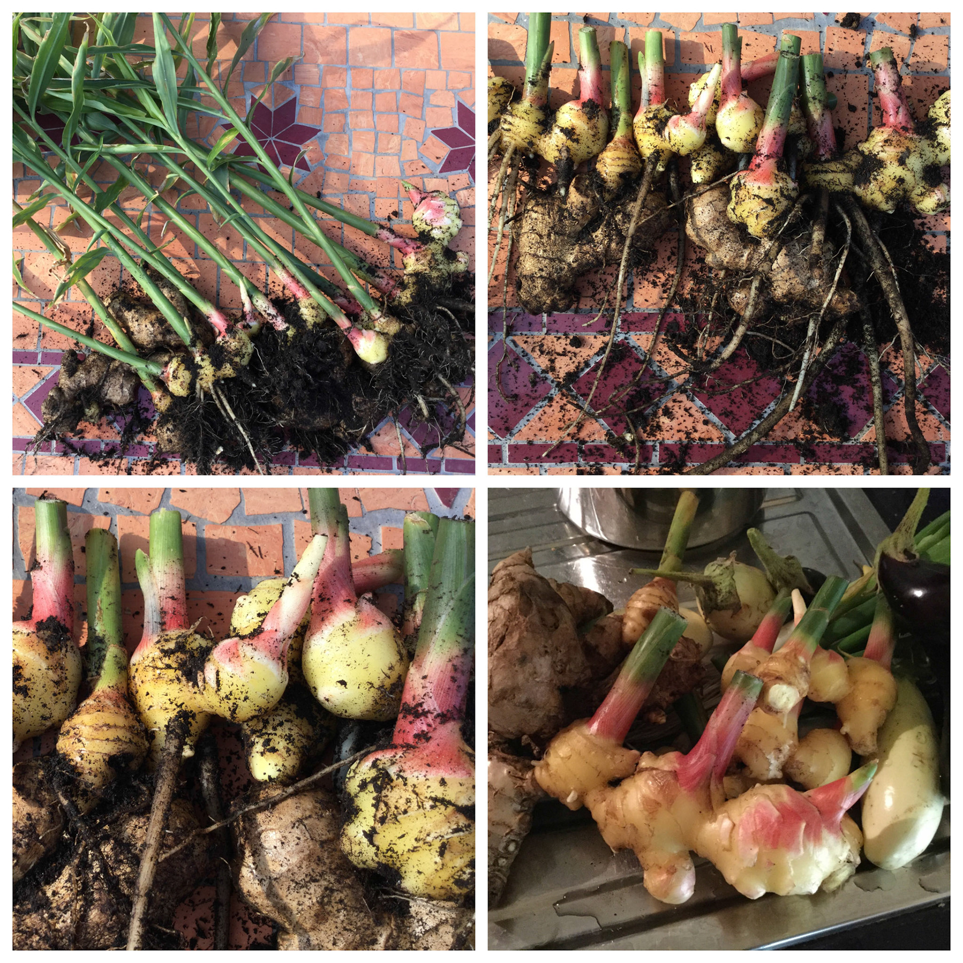 Processed with MOLDIV