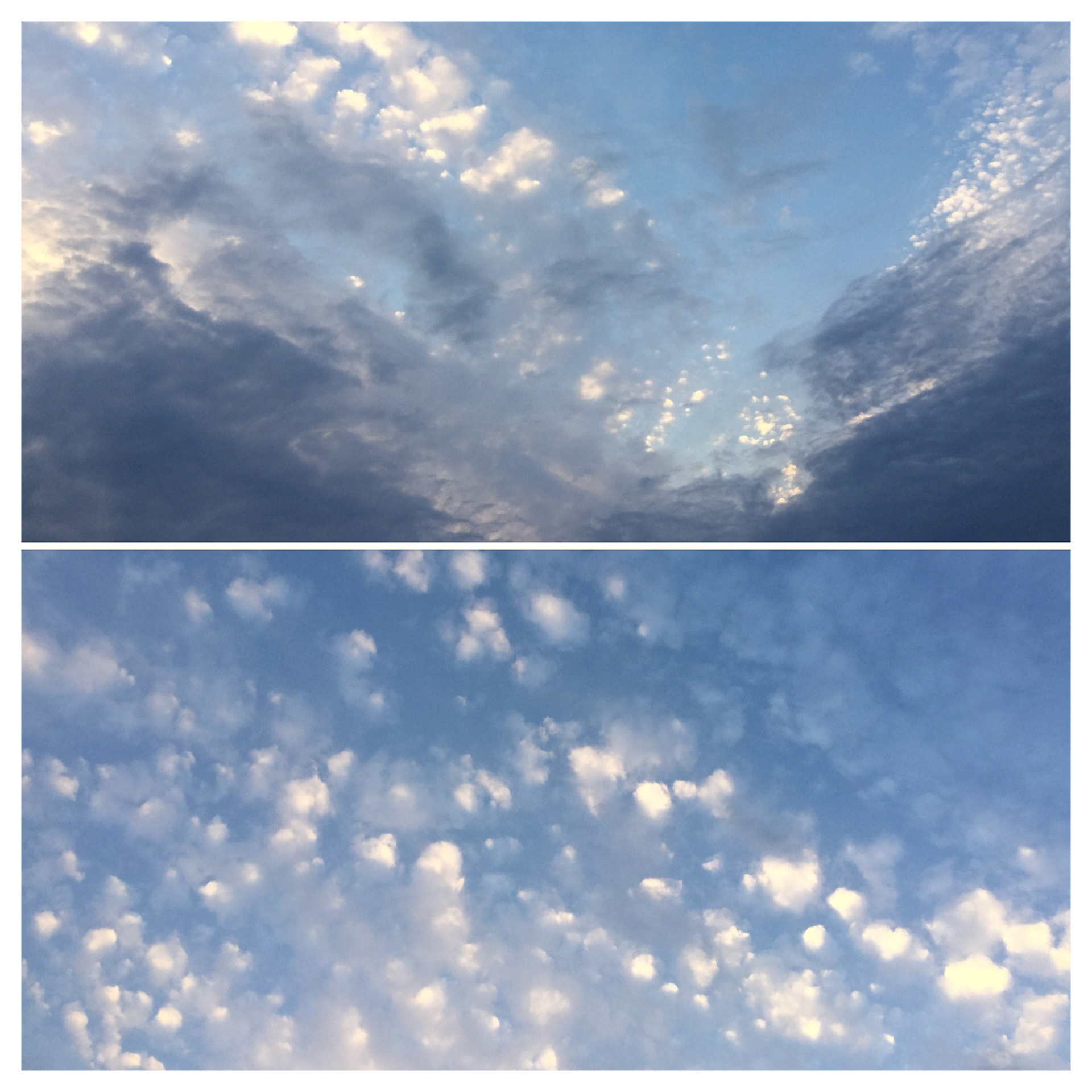 Processed with Moldiv