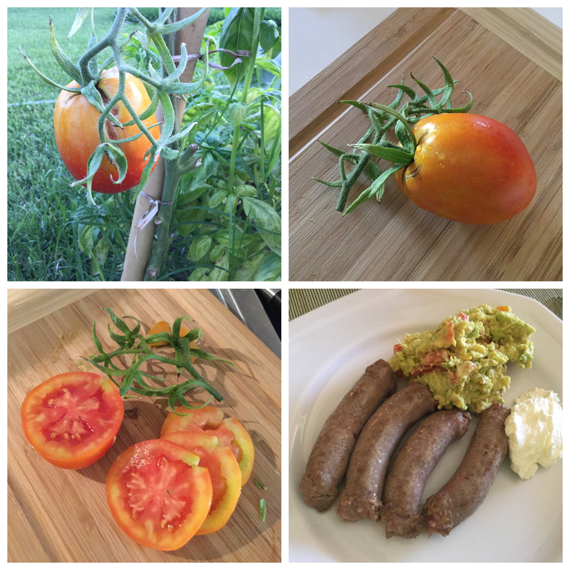 Processed with Moldiv