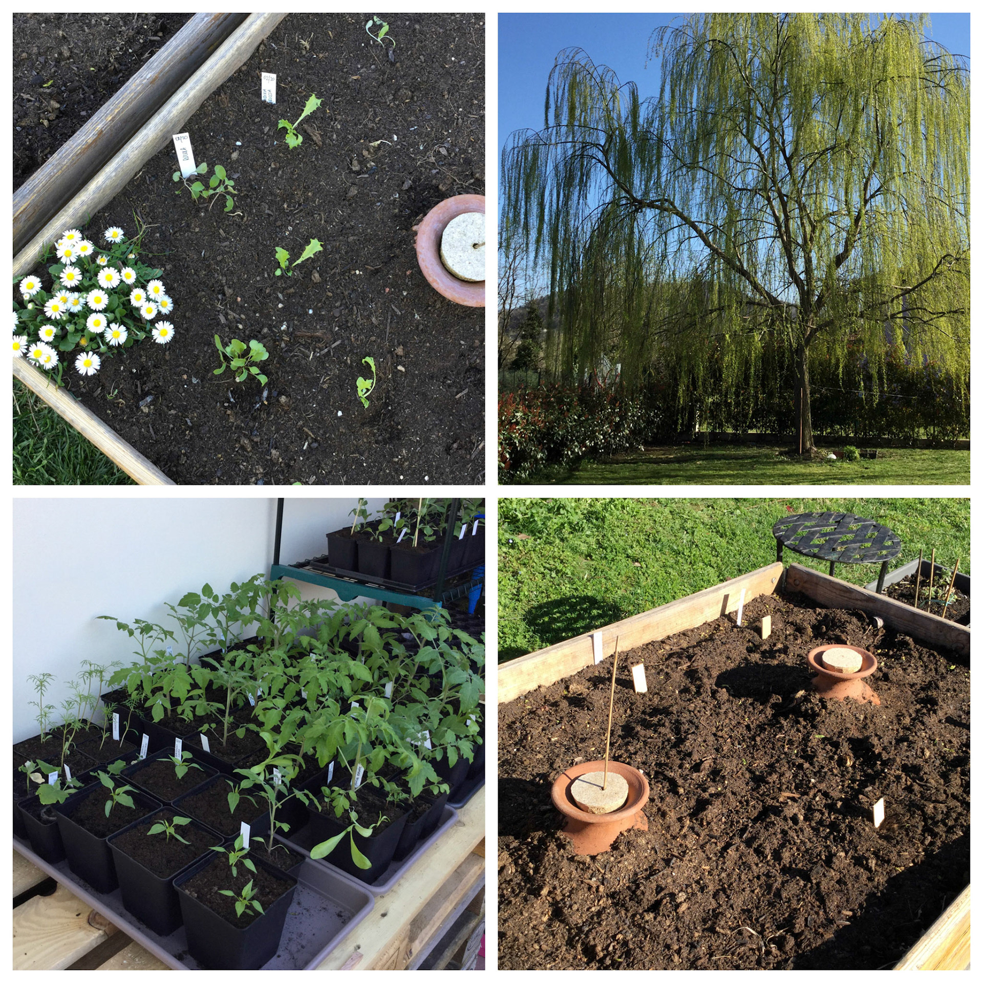 Processed with MOLDIV