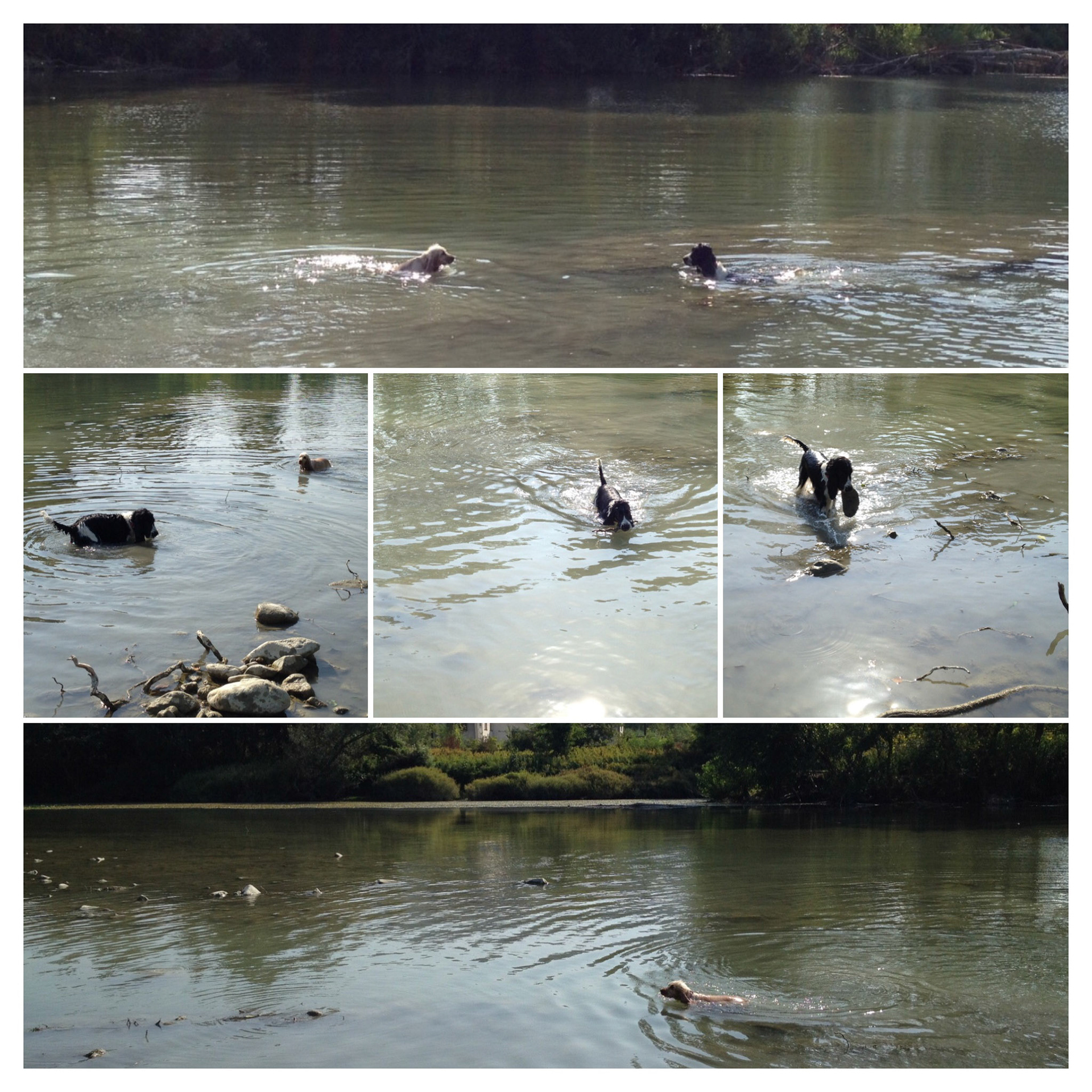 Processed with Moldiv