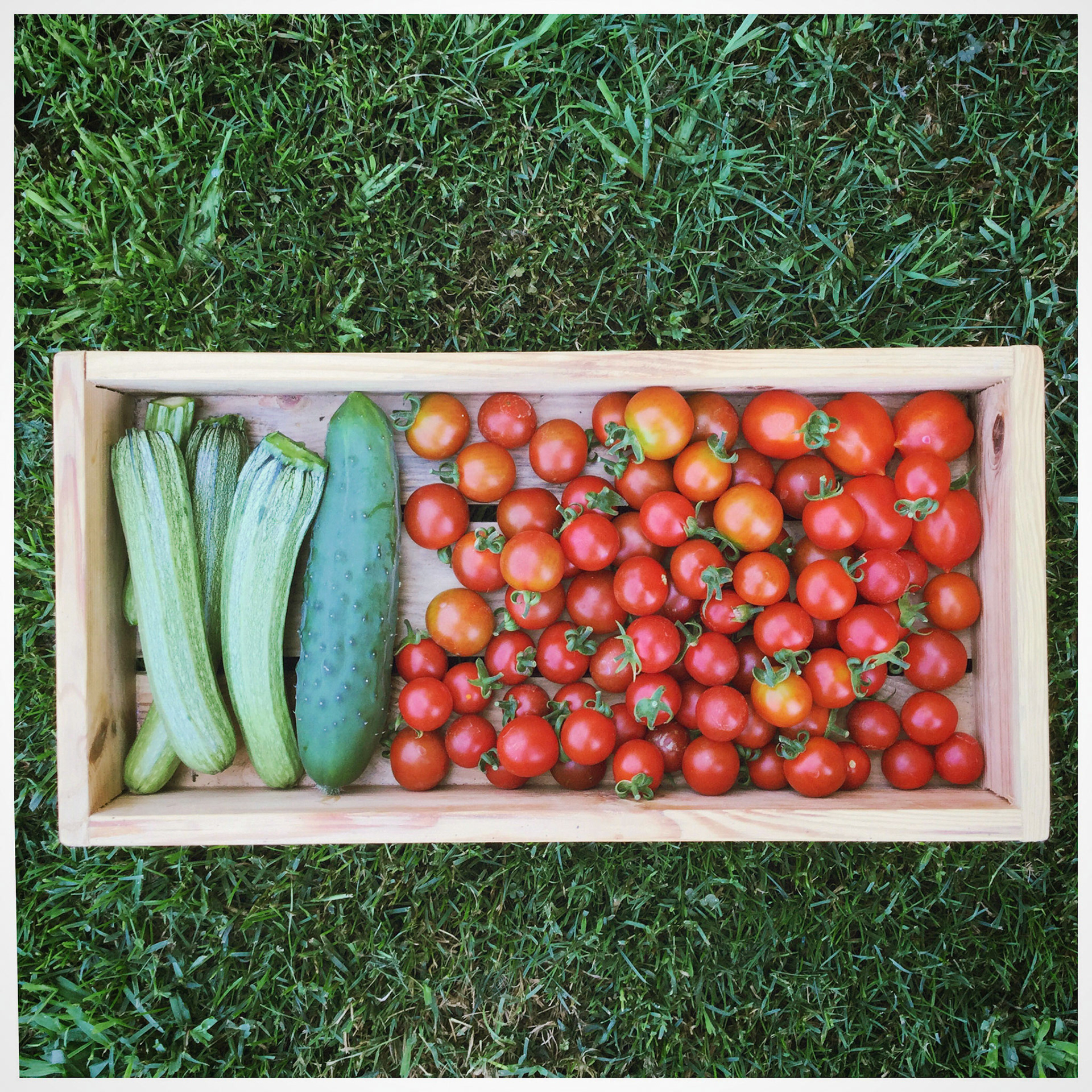 Processed with MOLDIV