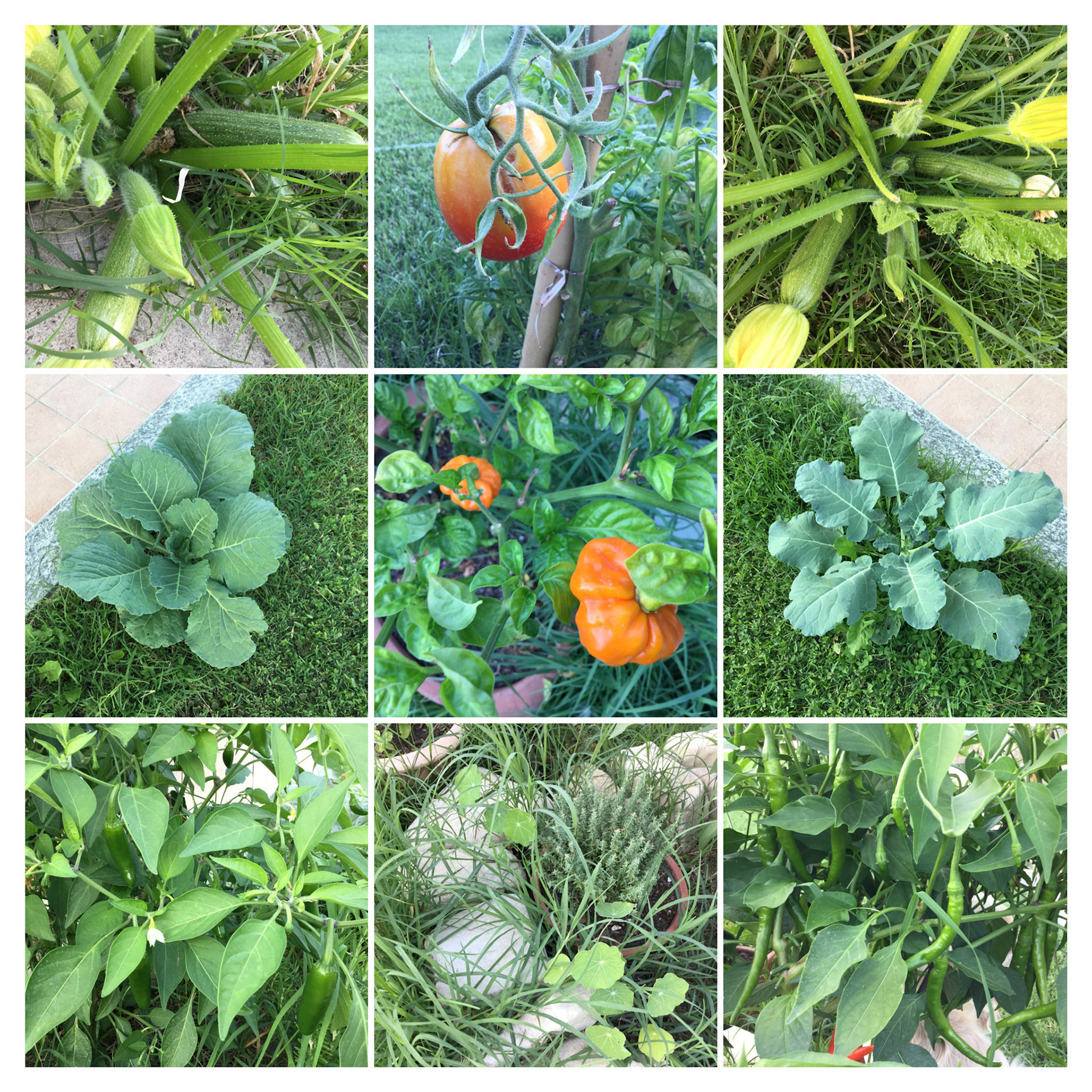 Processed with Moldiv