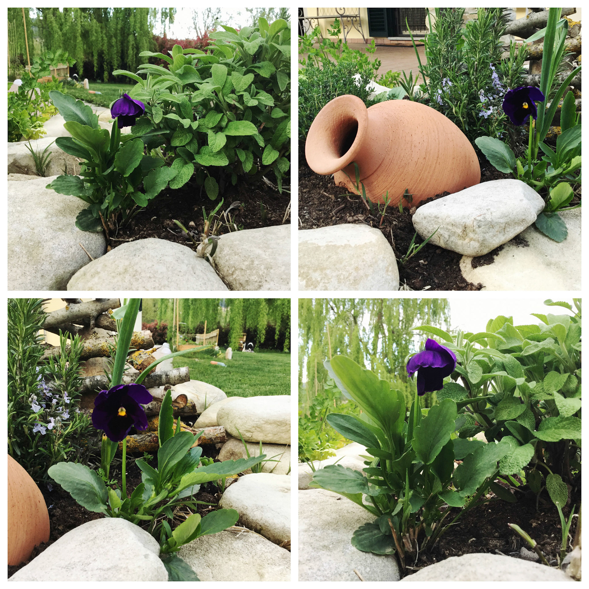 Processed with MOLDIV