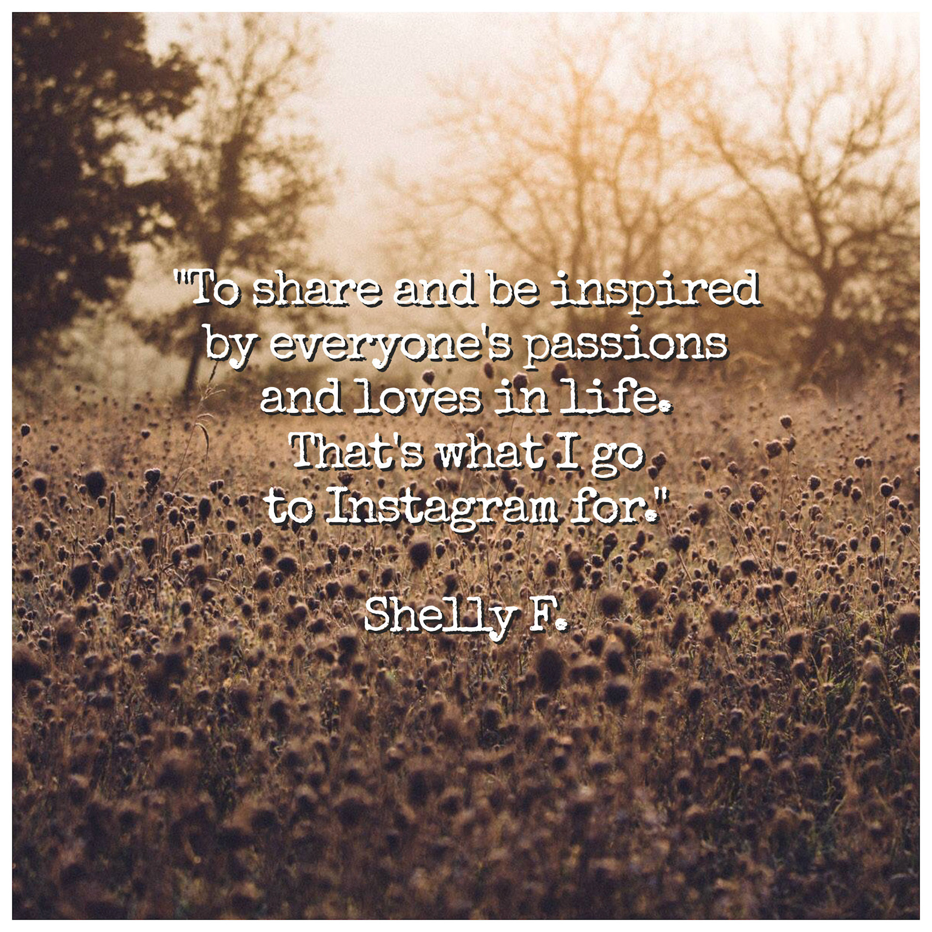 Processed with MOLDIV