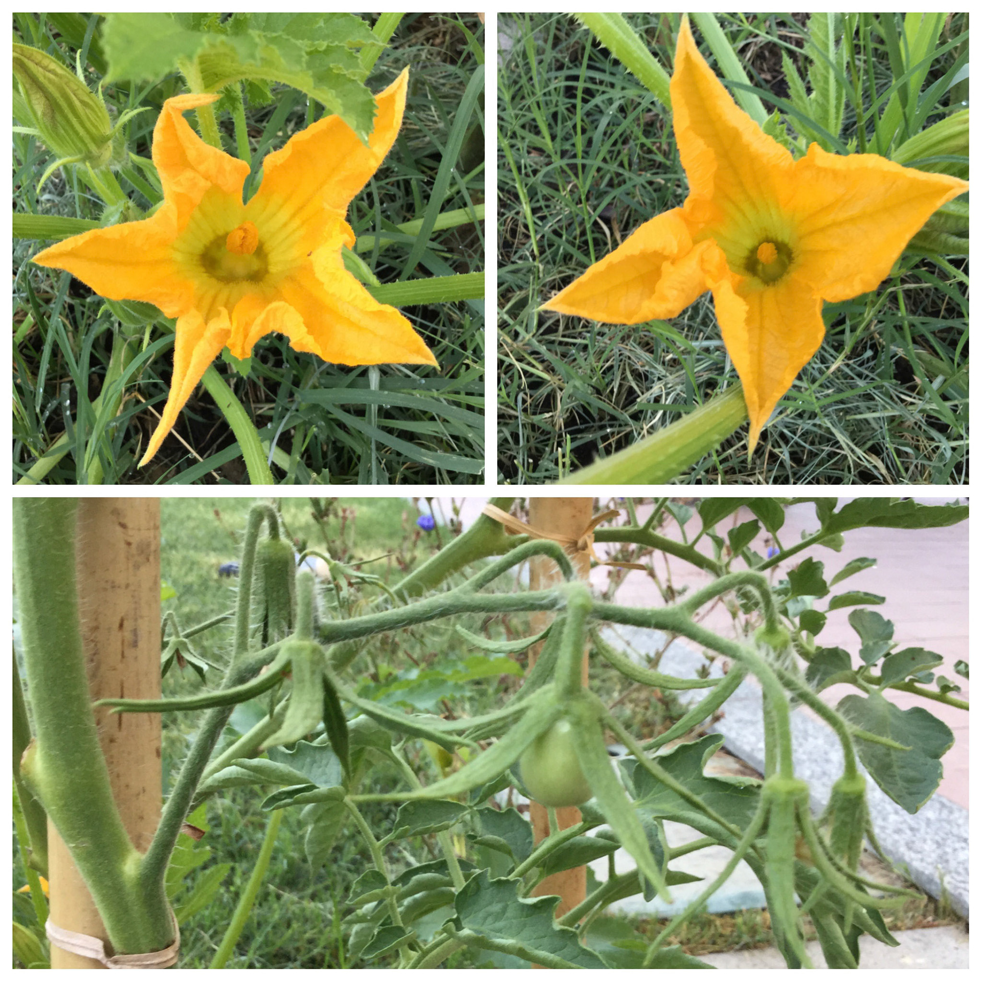 Processed with Moldiv