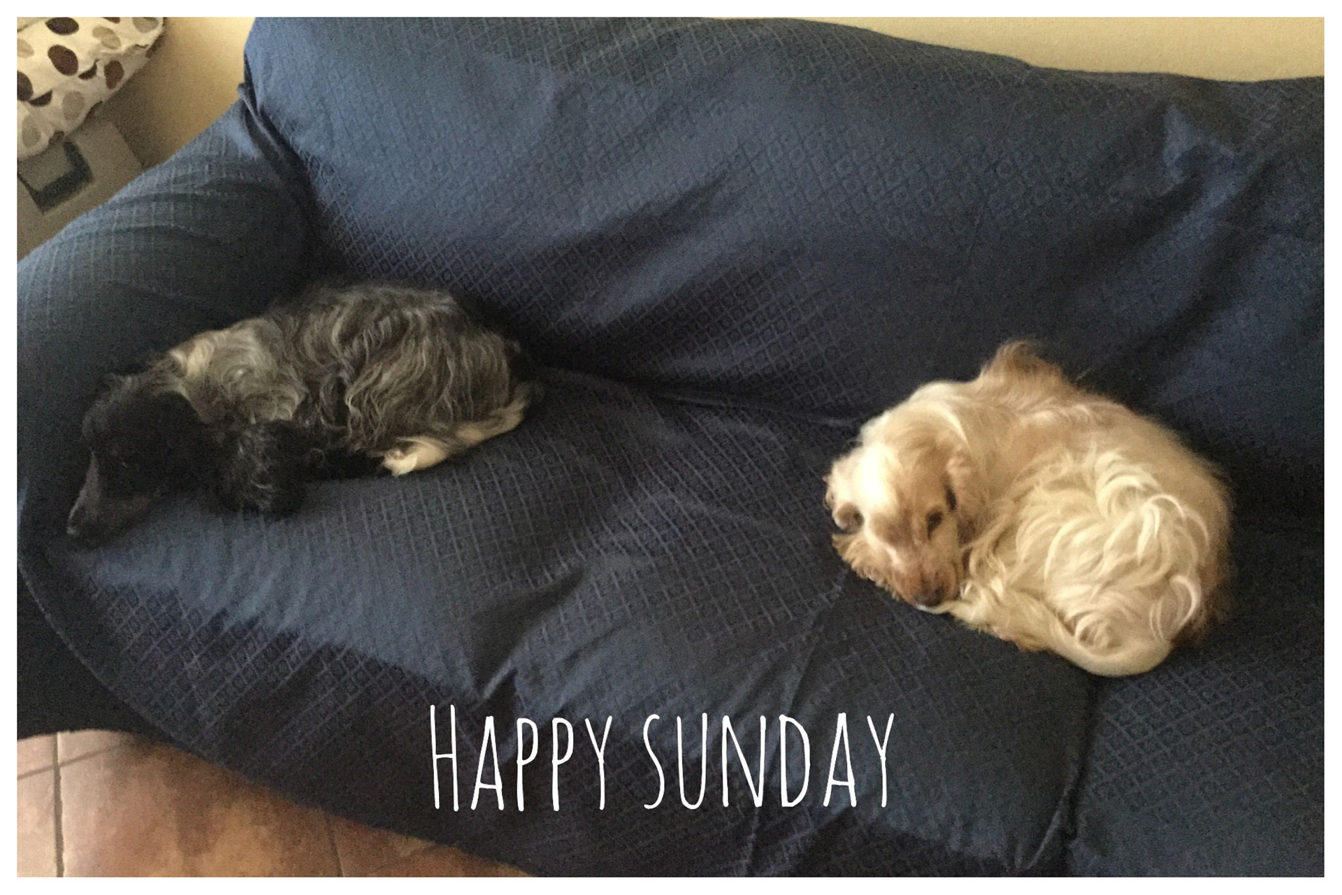 Processed with Moldiv