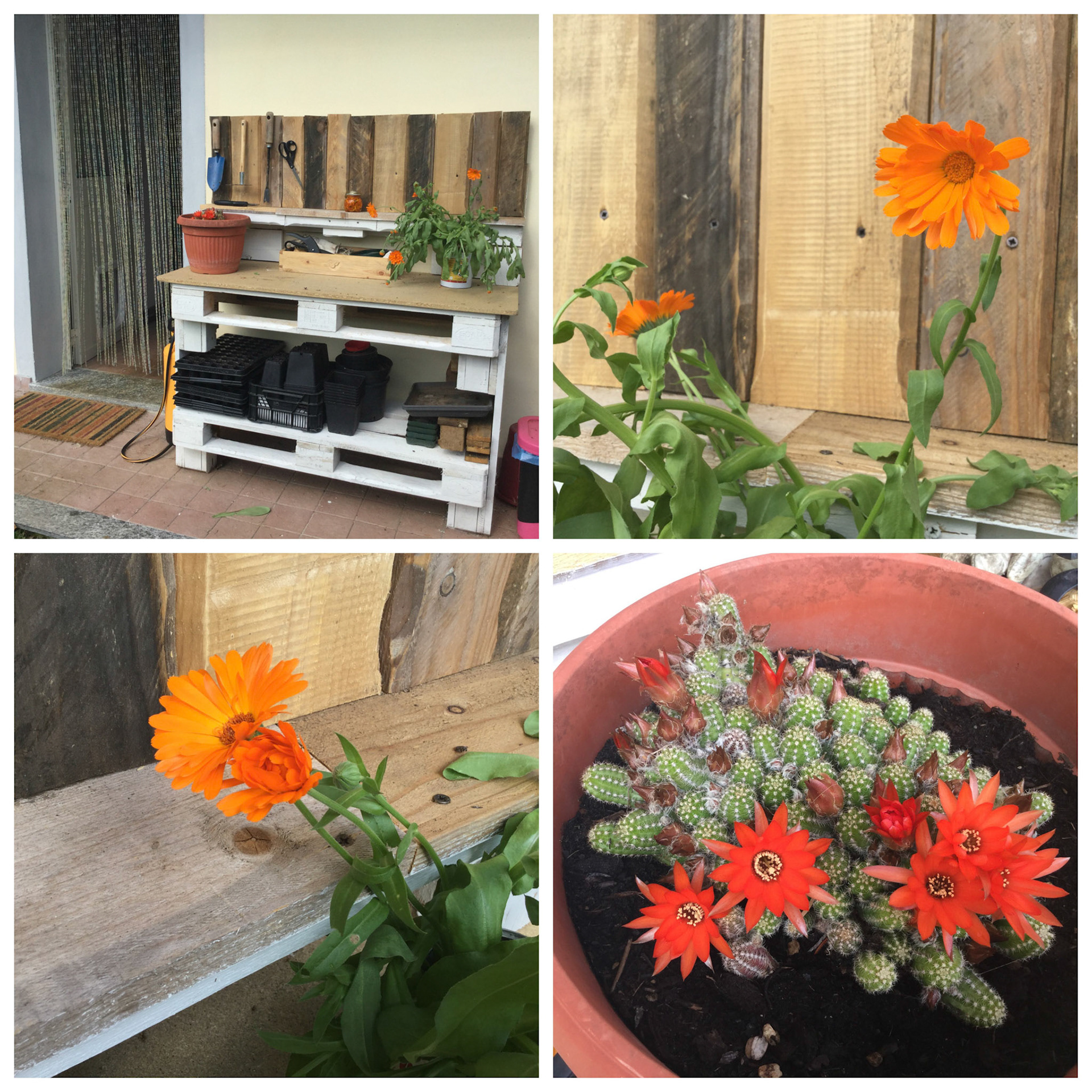 Processed with MOLDIV