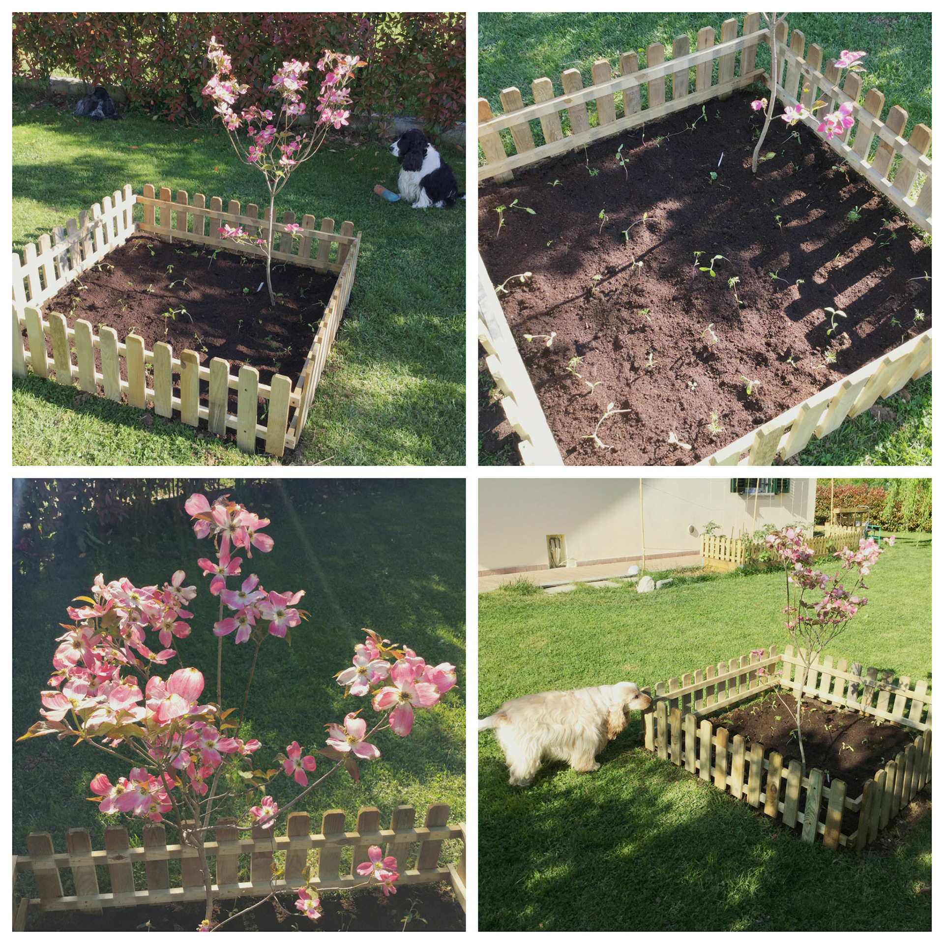 Processed with MOLDIV