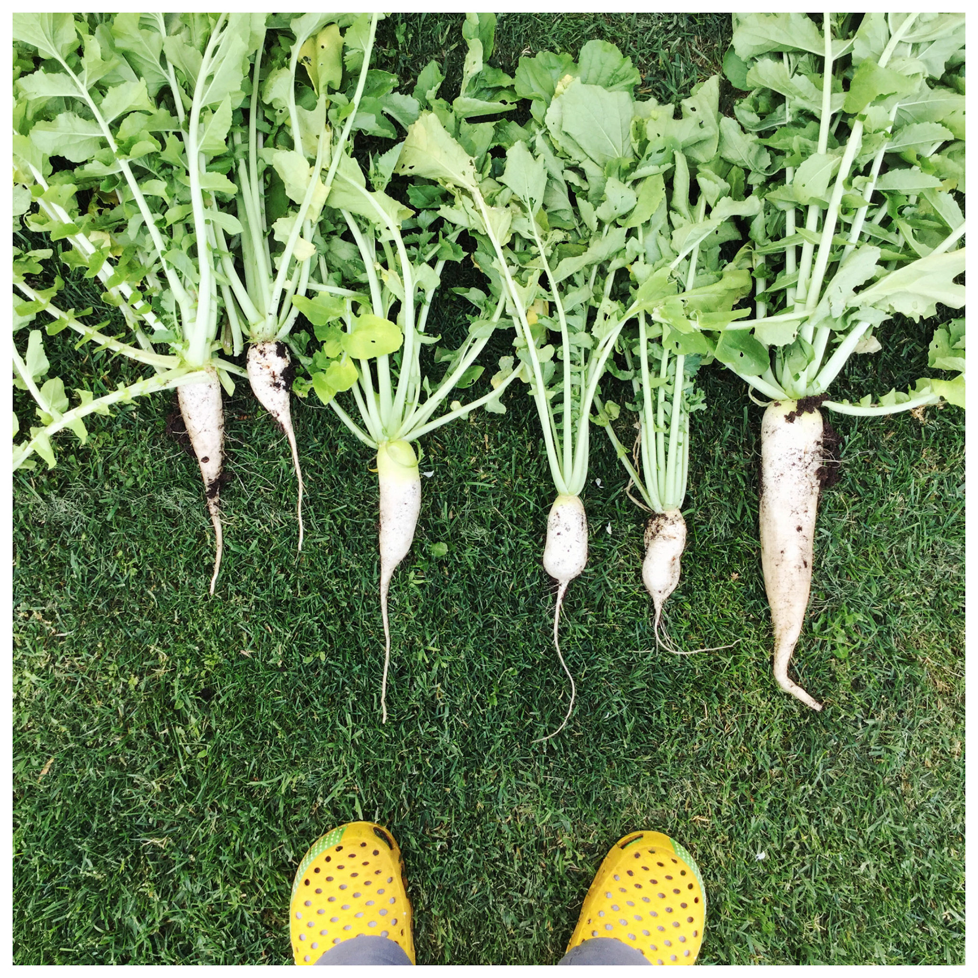 Processed with MOLDIV