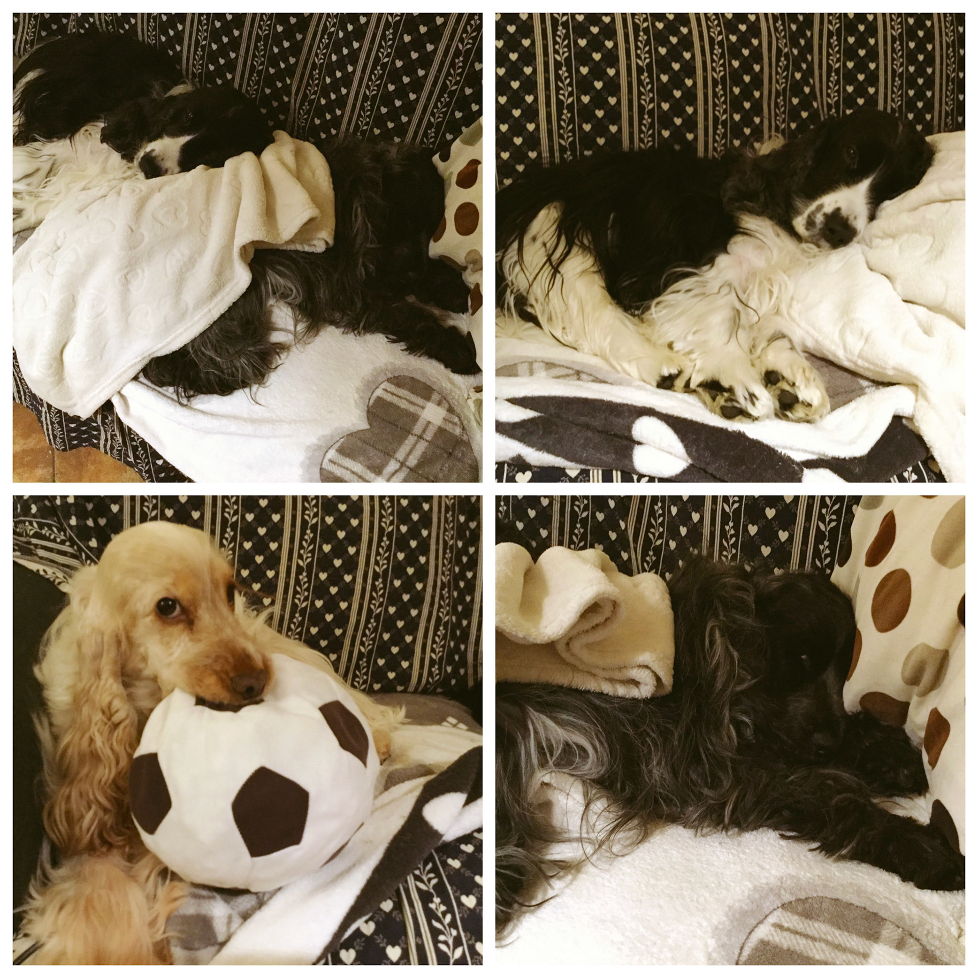 Processed with MOLDIV