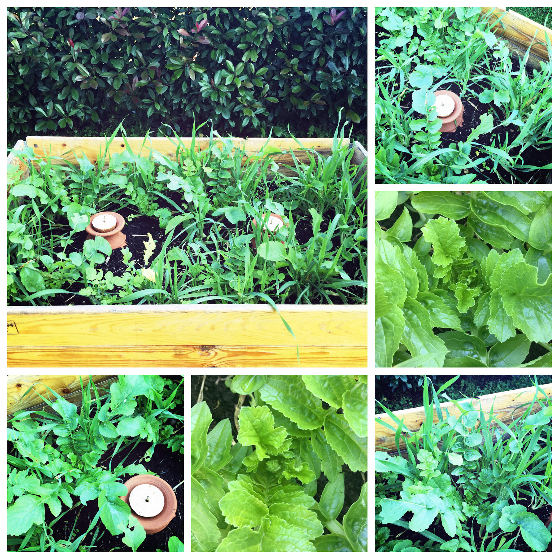 Processed with Moldiv