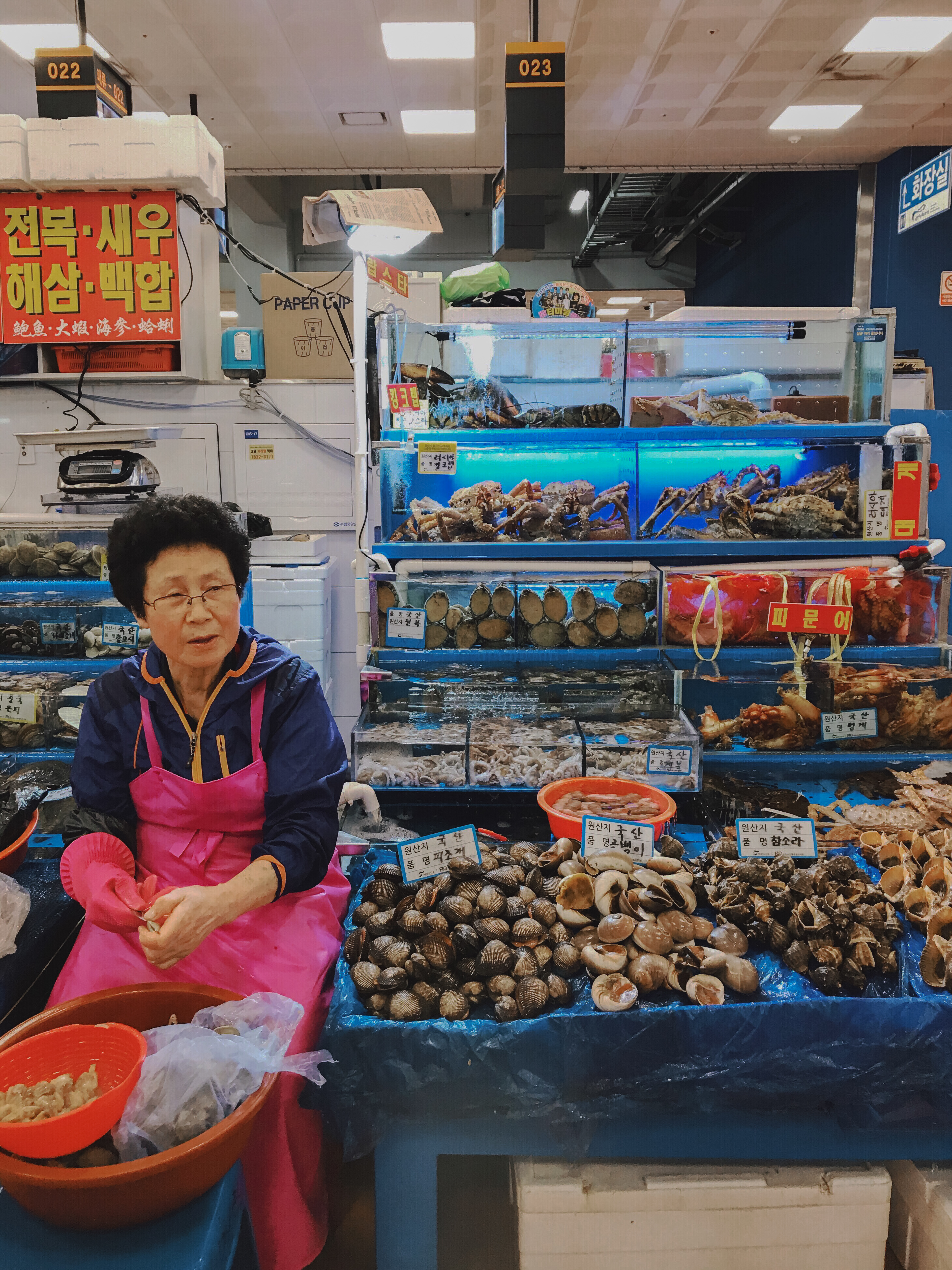 Seoul, South Korea - 2016