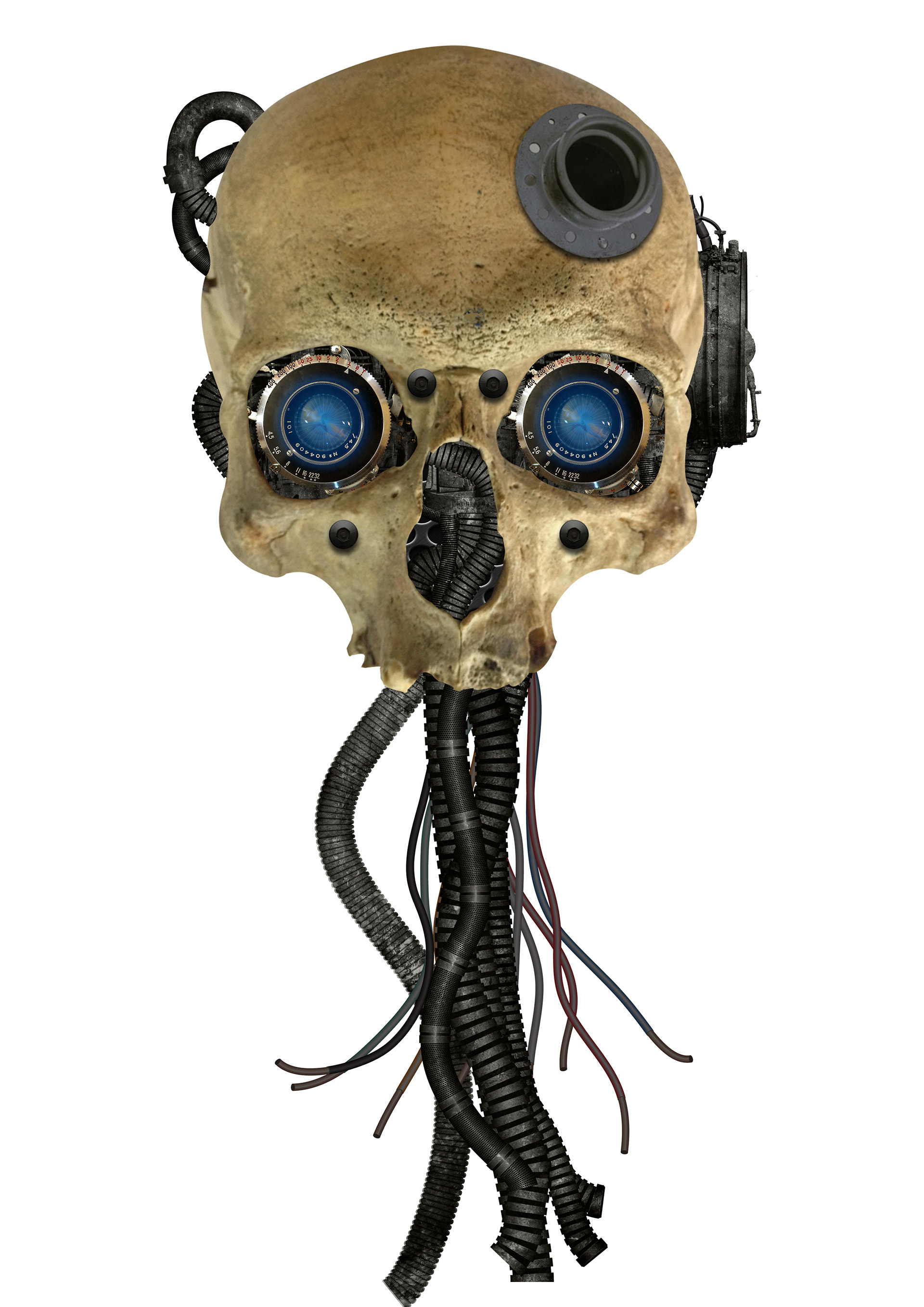 Endoskull