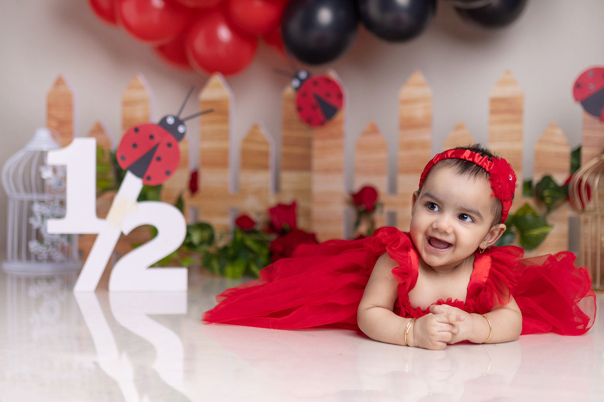 6 Month baby Girl Bug Theme Setup
