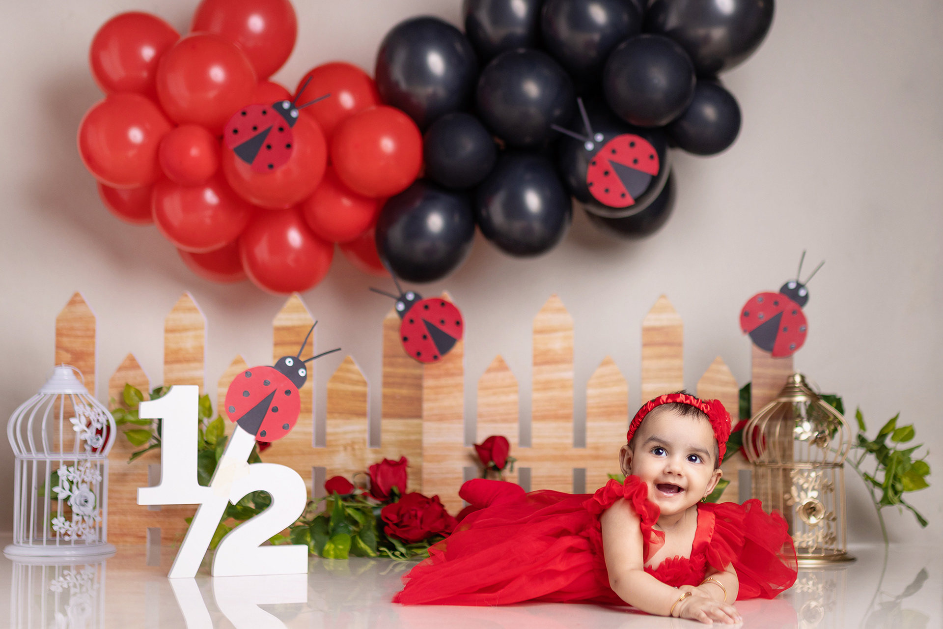 6 Month baby Girl Bug Theme Setup