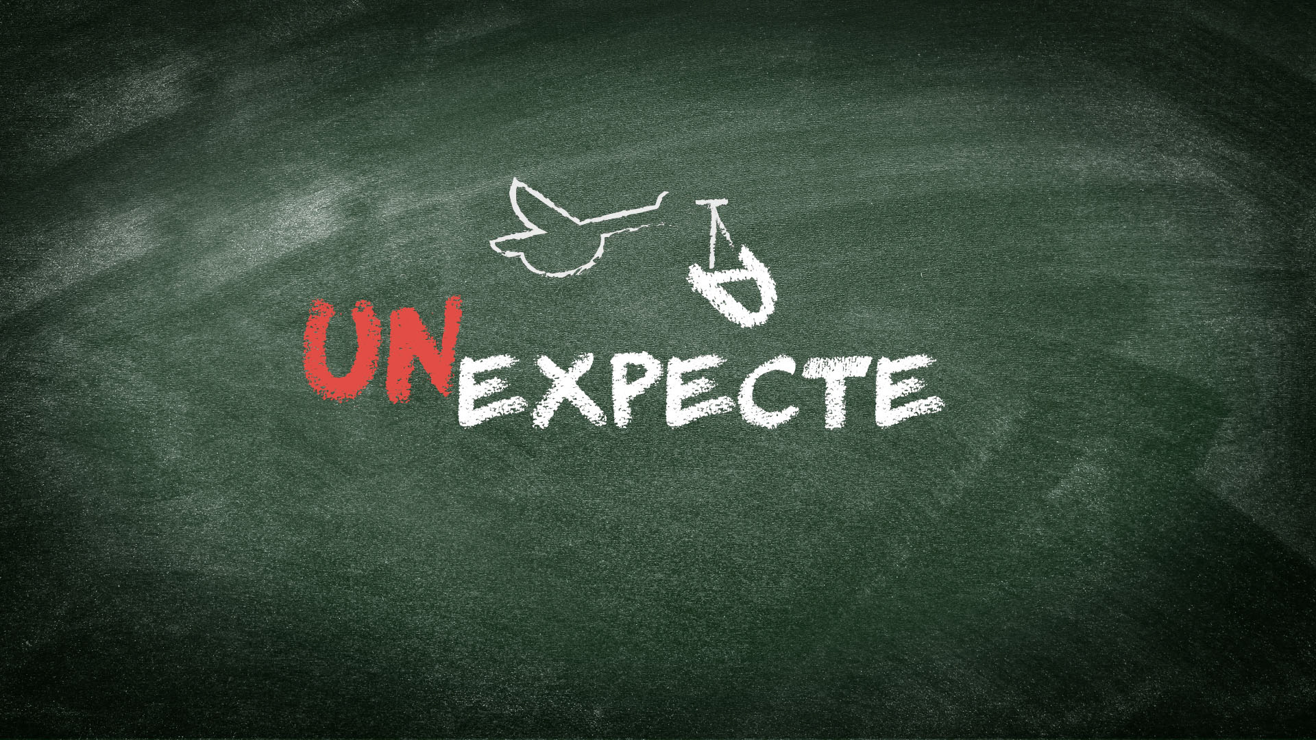 Concept A1: writings on a school chalkboard with the delivery bird