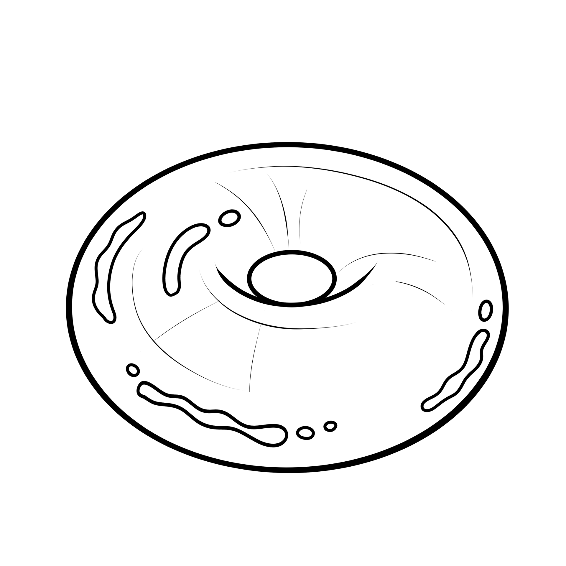 Glazer Outline