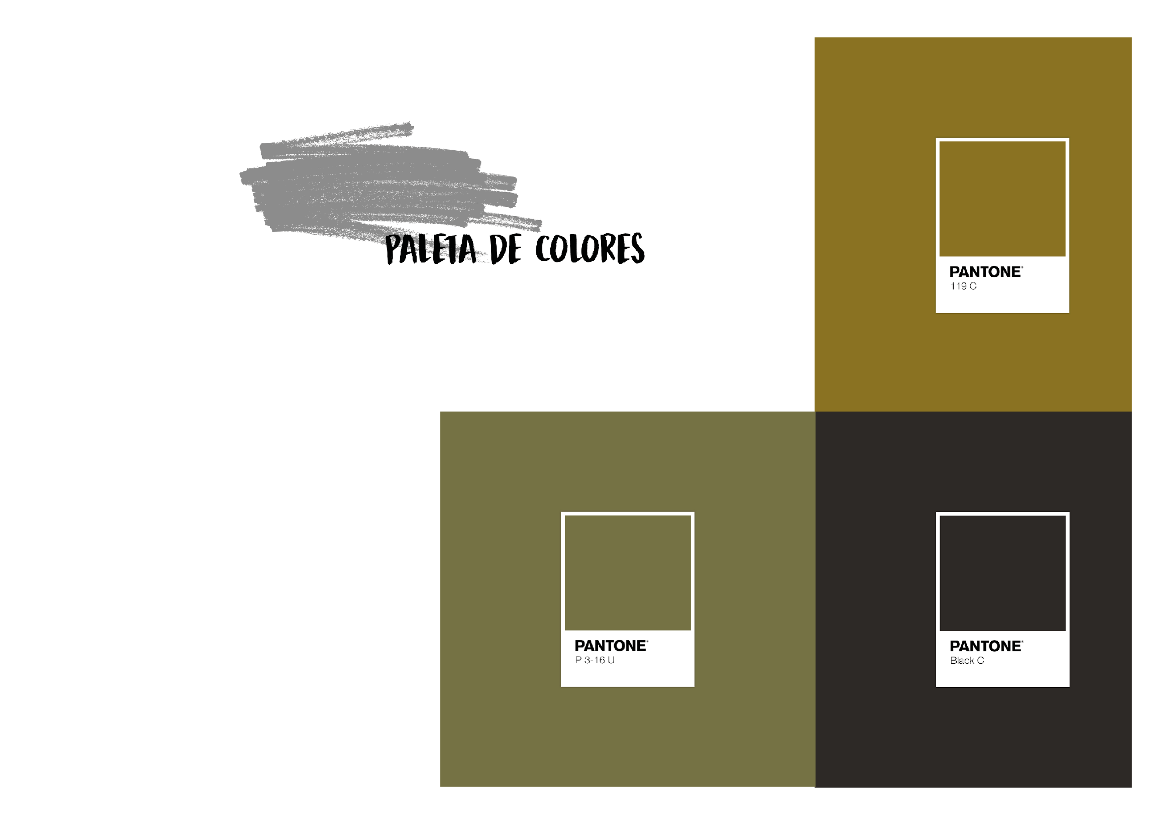 THE THINKER COLOURS