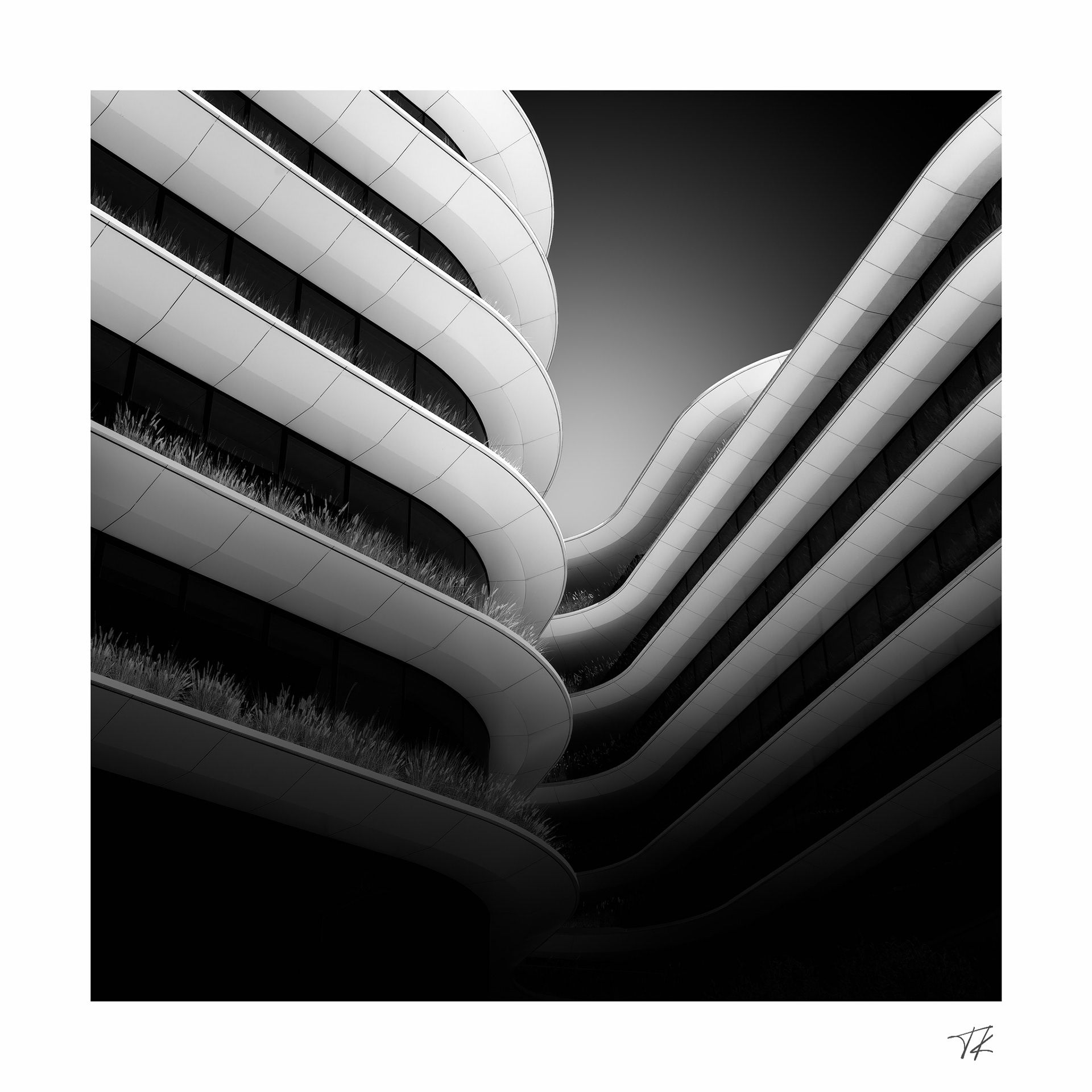 contours - study X