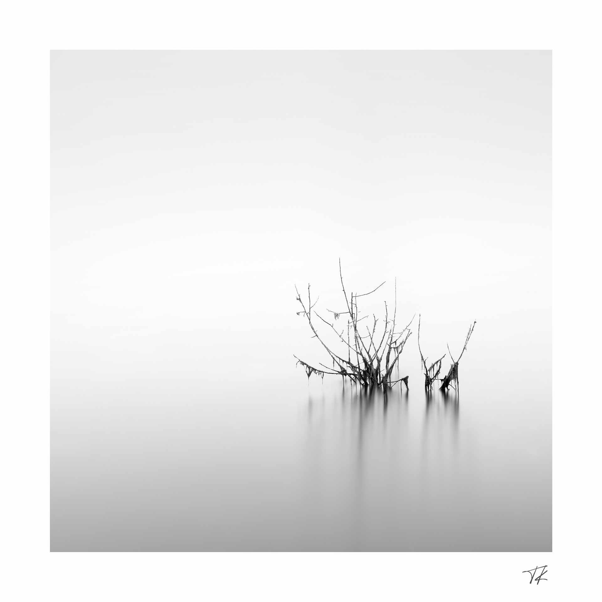 shapes on water