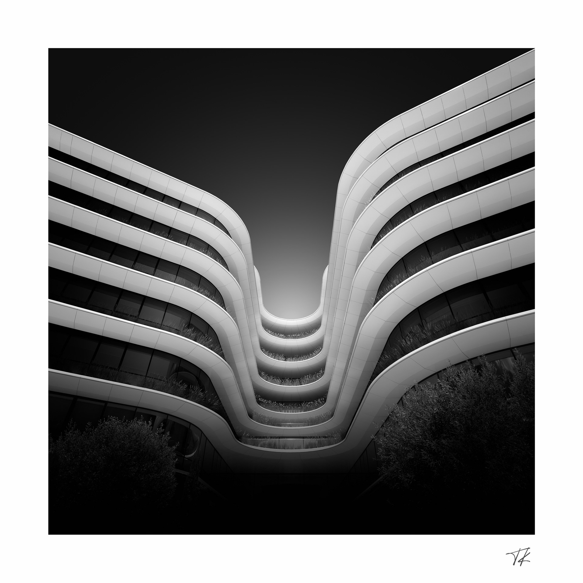 contours - study V