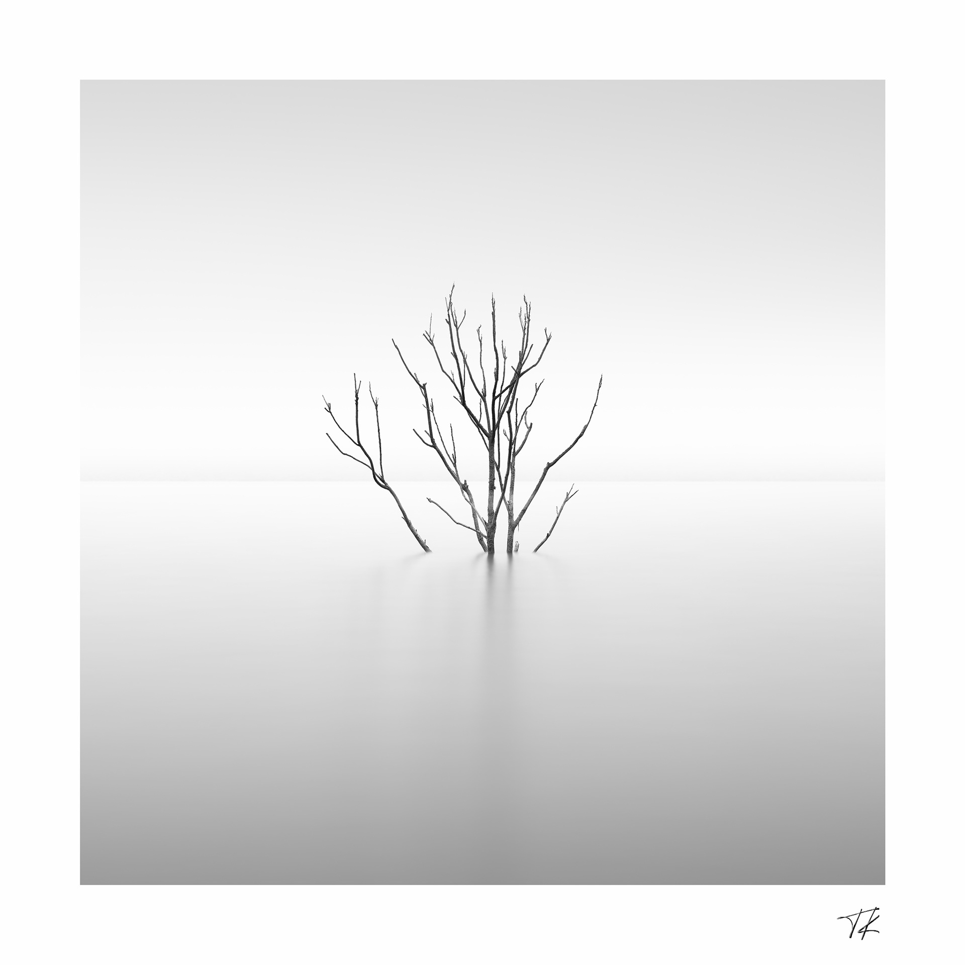 imminent fog