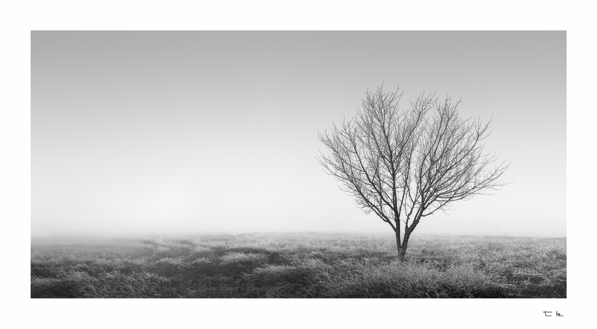 white dew, one drop, on each thorn